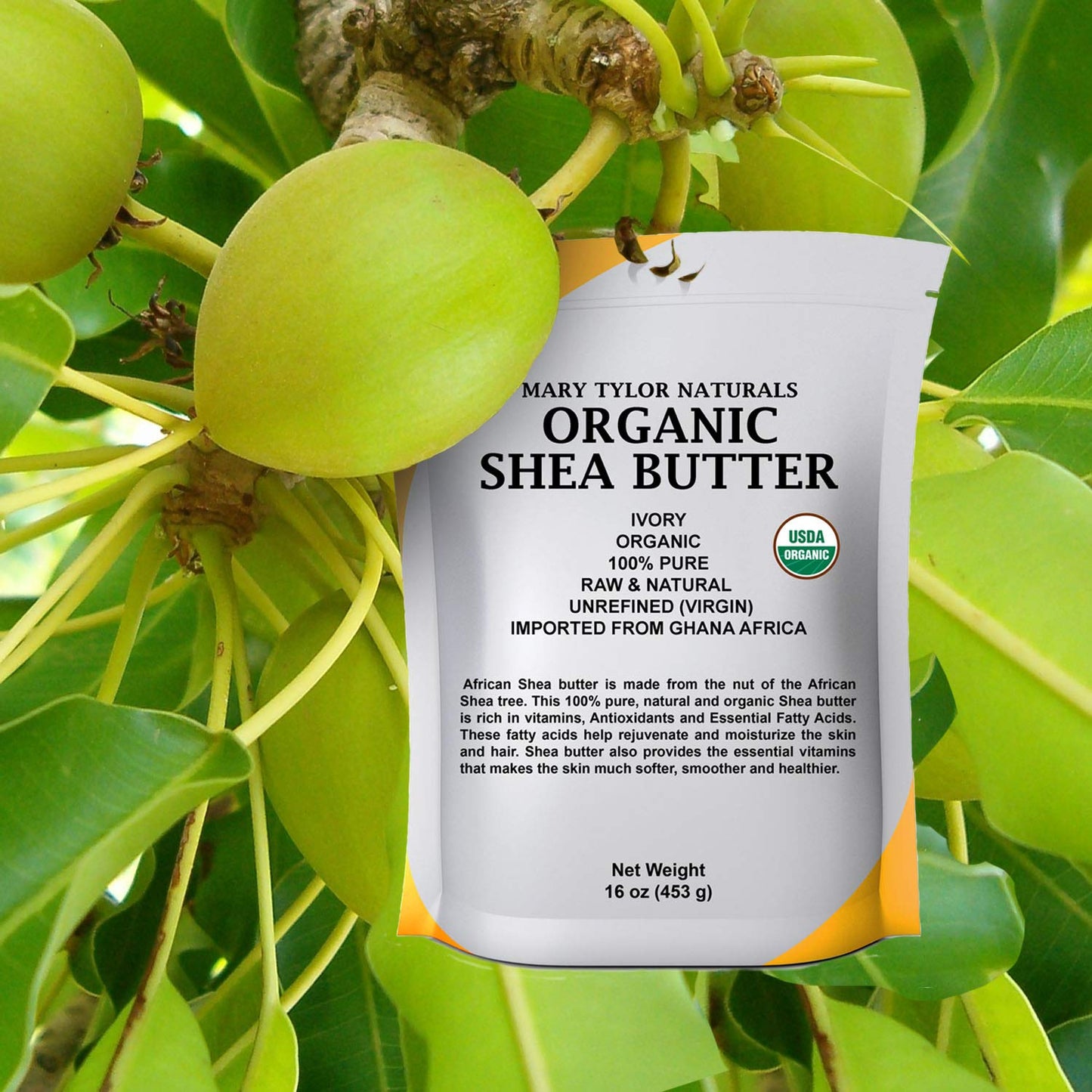 Organic Shea Butter 2 lb - USDA Certified Raw & Unrefined | Ivory from Ghana for Hair, Skin & DIY Projects