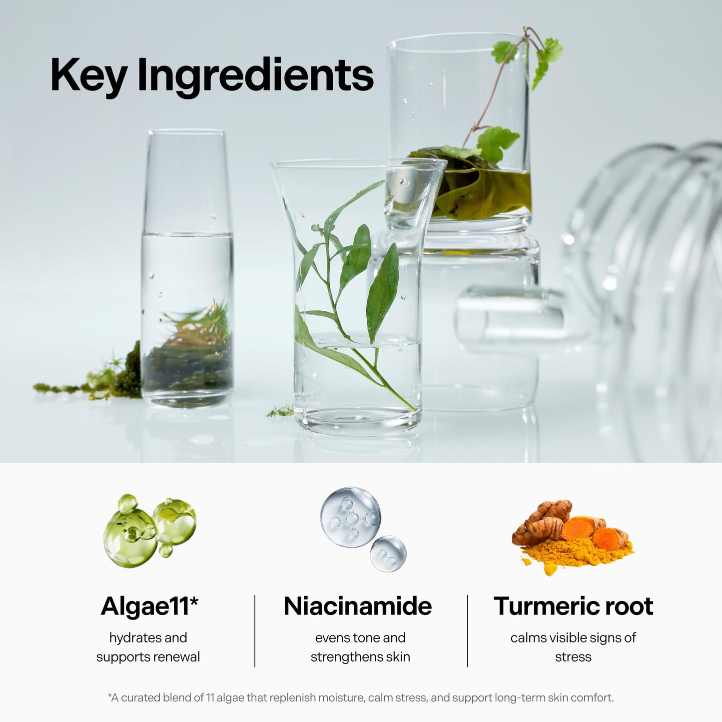 Coeternal Instant Glow Mist, Hydrating Lightweight Korean Face Mist with Algae 11, Niacinamide and Turmeric root, Moisturizing Spray for Dewy, Glass Skin, For Dry or Sensitive Skin, 120ml / 4.0 fl.oz.