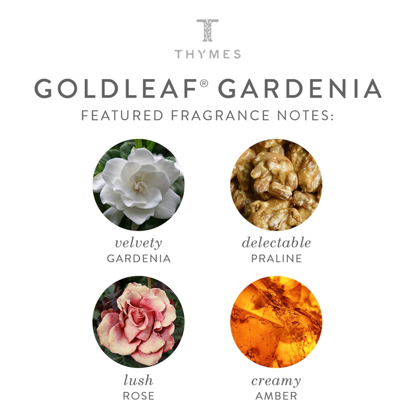 Thymes Large Hand Wash - Goldleaf Gardenia - 15 Fl Oz