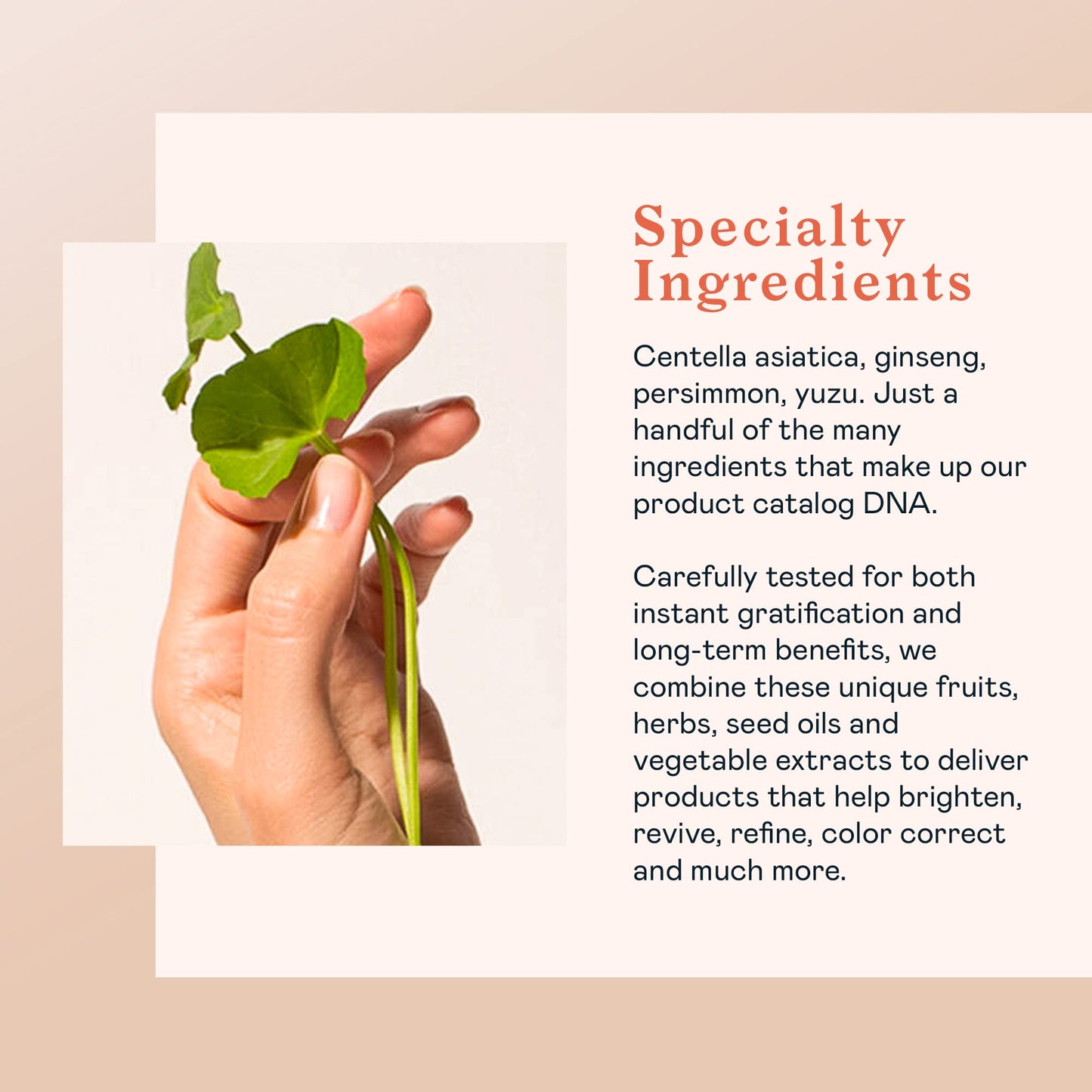 Erborian Centella Melting Cleansing Balm, Gentle Cleanser Purifies Skin & Removes Makeup, Oil & SPF, Non-Stripping, Soothes, Hydrates, Korean Skincare