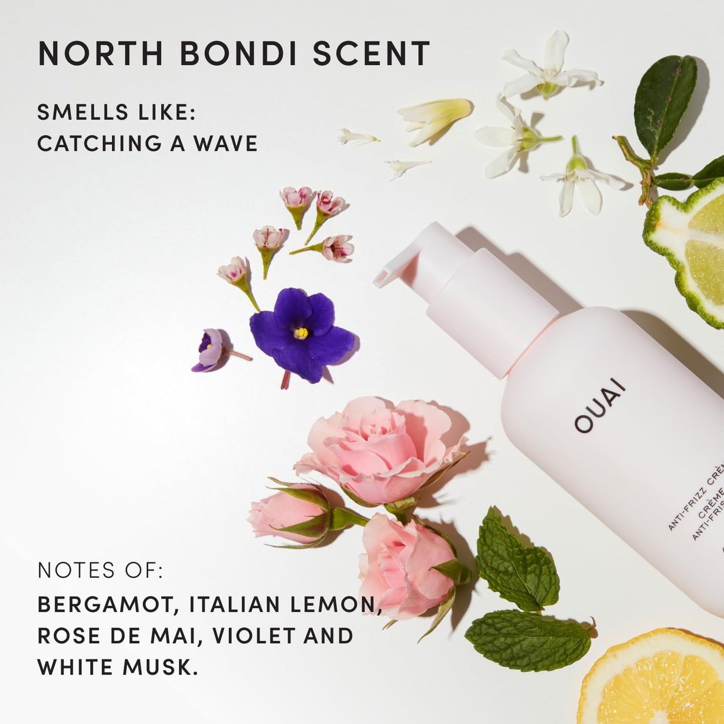 OUAI Anti-Frizz Cream - Moisturizing Hair Cream for Frizz Control & Heat Protection - Hydrating Jackfruit & Beetroot Extract | 6 oz