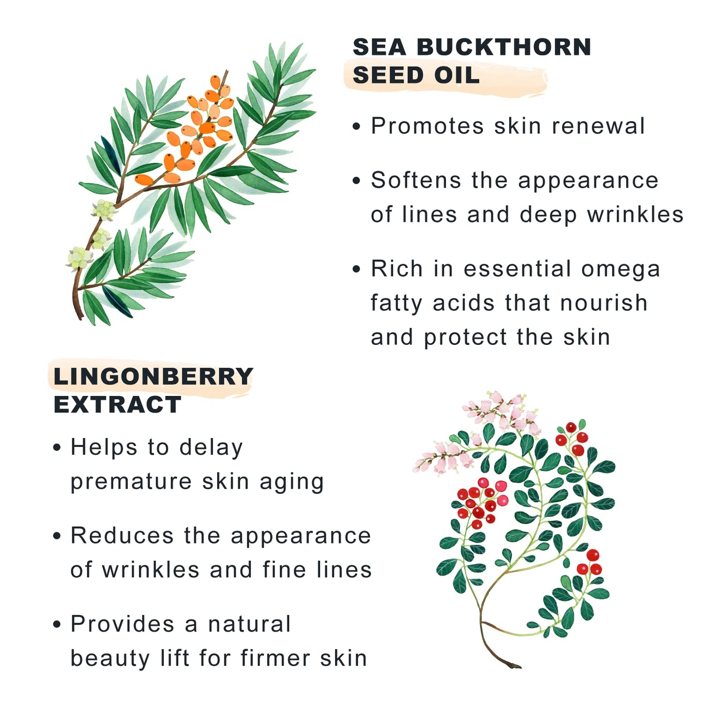 Lumene [Lumo Nordic Bloom Anti-Wrinkle + Firming Night Cream - Hydrating Face Moisturizer for Visibly Firmer, Radiant & Smooth Skin - Formulated with Pre-Retinol Complex + Lingonberry Extract (50ml)