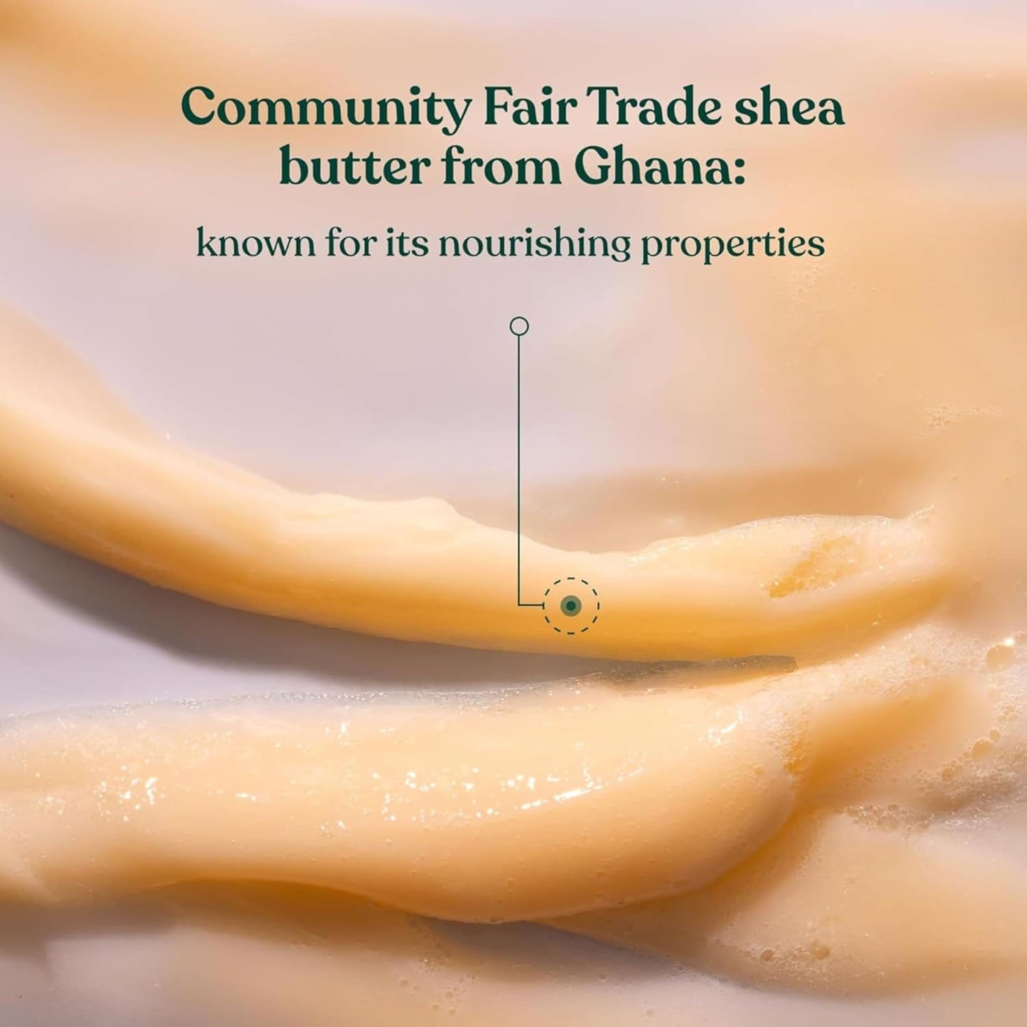 The Body Shop Shea Intense Repair Shampoo