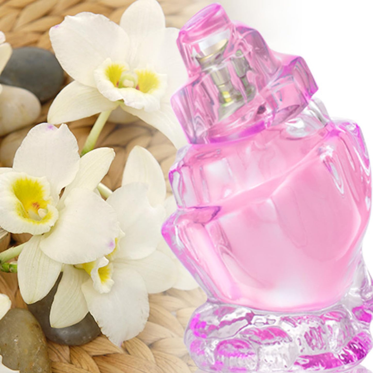 Zermat Caribe | Long Lasting Perfume for Women | Floral Perfume with Rose Perfume Notes & Vanilla Musk | Women Cologne with Jasmine Perfume, Amber & Soft Woods | Tropical Fruity Floral | 75ml / 2.54oz