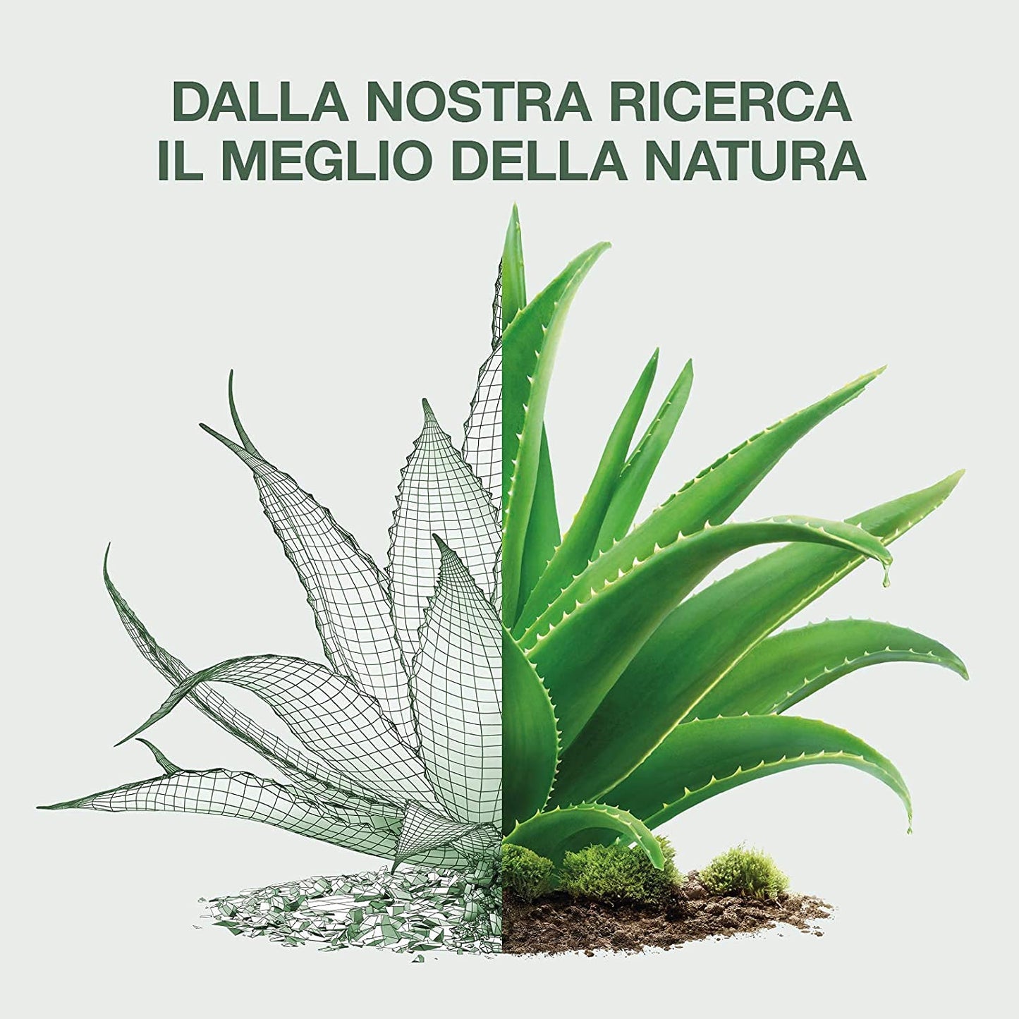 Omia Organic Body Cream with Aloe Vera 200 Ml. (6.76 Fl.Oz.) [Italian Product]