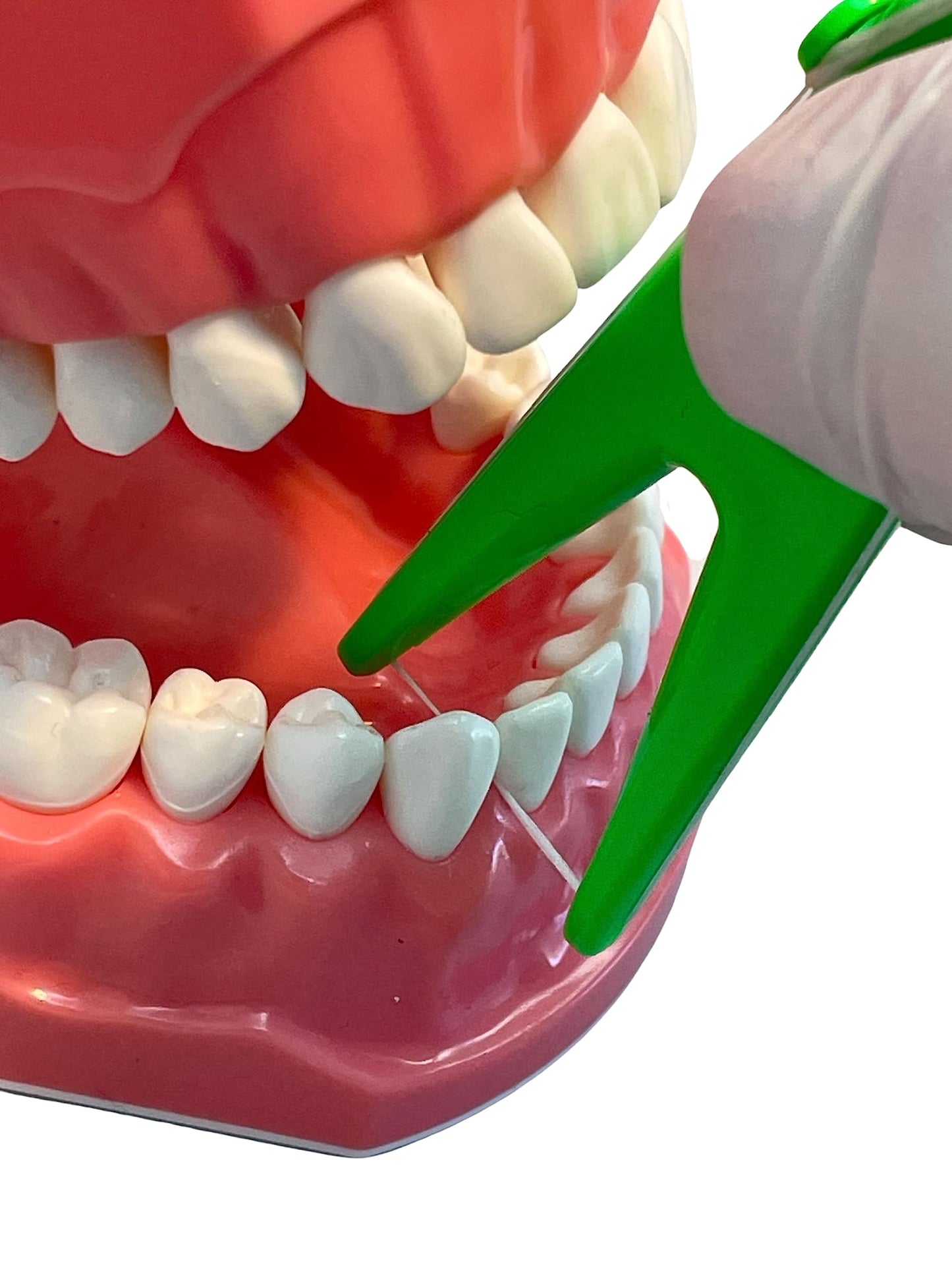 E-Z Floss Dental Floss Holder
