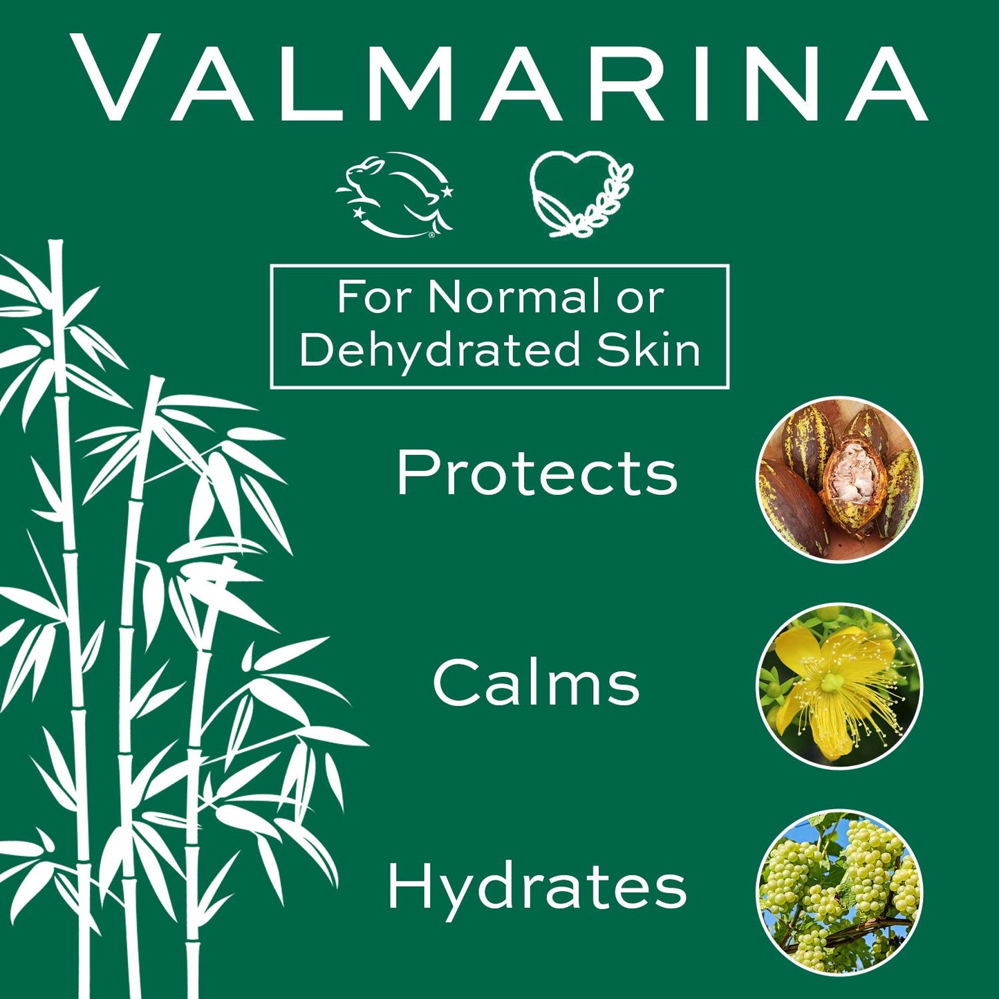 Valmarina Nighttime Moisturizing Lotion - Hydrating Formula for Soft Skin | 1.69 Ounce