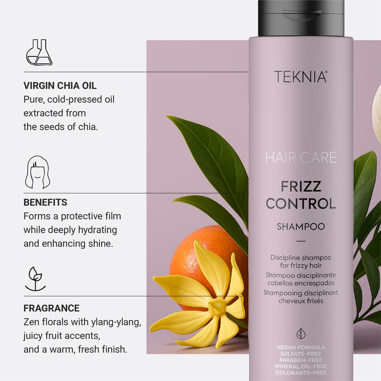 Lakmé Teknia Frizz Control Shampoo, Anti Frizz Shampoo for Frizzy or Curly Hair, 10.2 Fl Oz