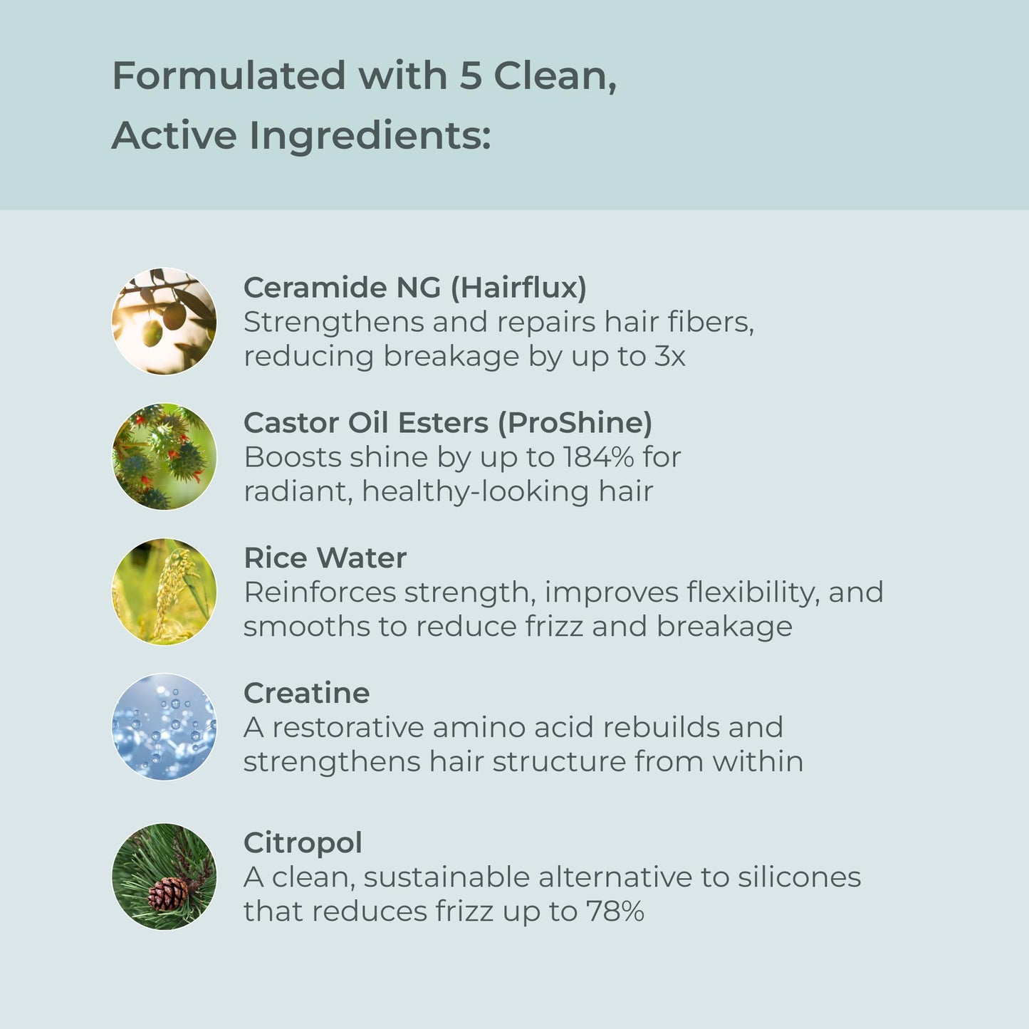 EVOLVh - Natural UltraShine Moisture Conditioner | Vegan, Non-Toxic, Clean Hair Care (8.5 fl oz | 250 mL)