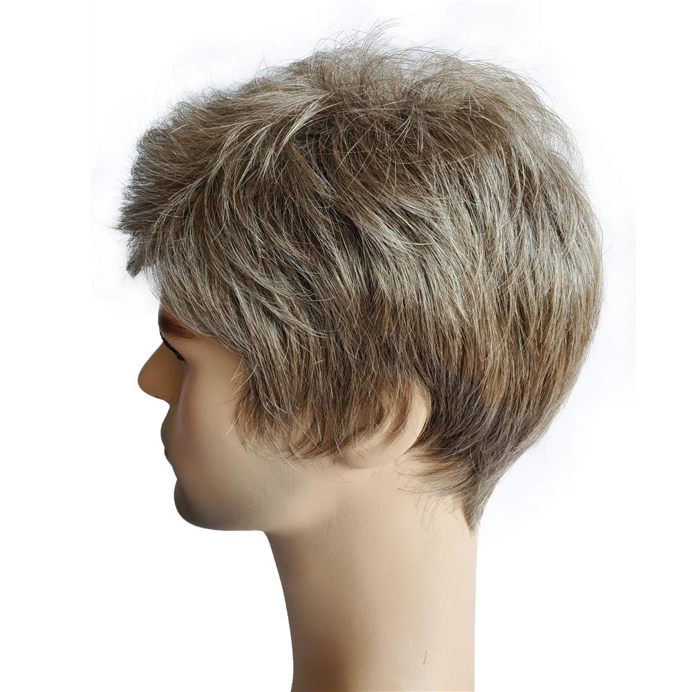 Aimole Mens Wigs Short Straight Hair Brown mix Sliver Natural Synthetic Full Wig