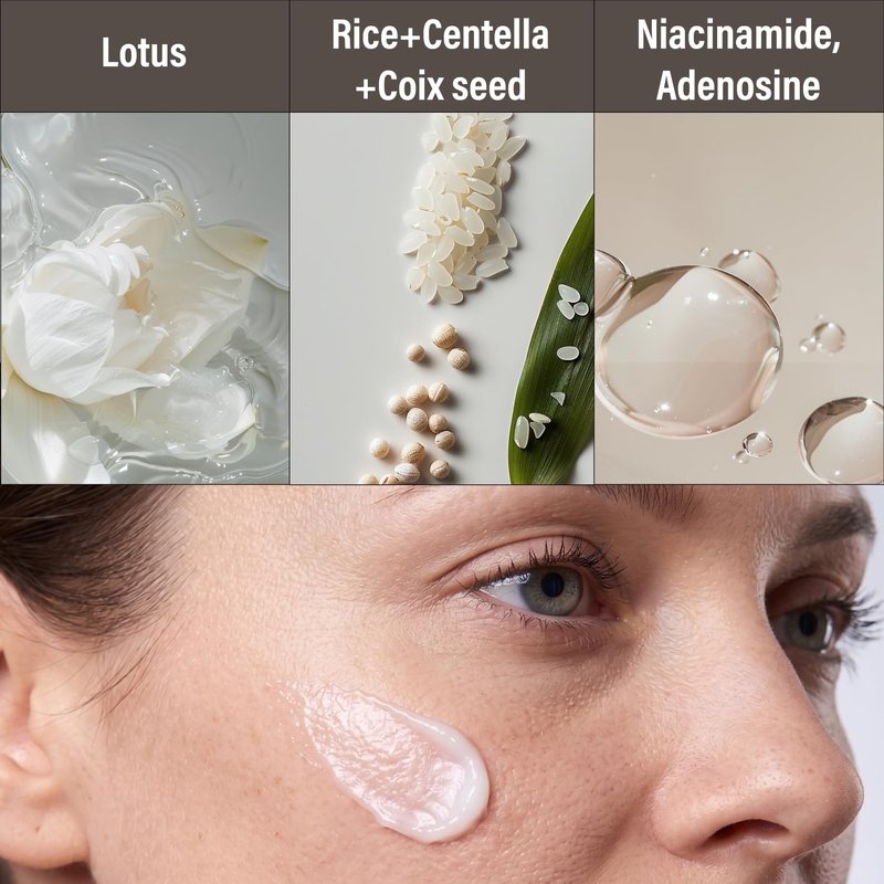Korean Anti-Aging Face Moisturizer - Lotus Multi Barrier Cream with Niacinamide & Rice | Fragrance-Free, 1.69 fl oz