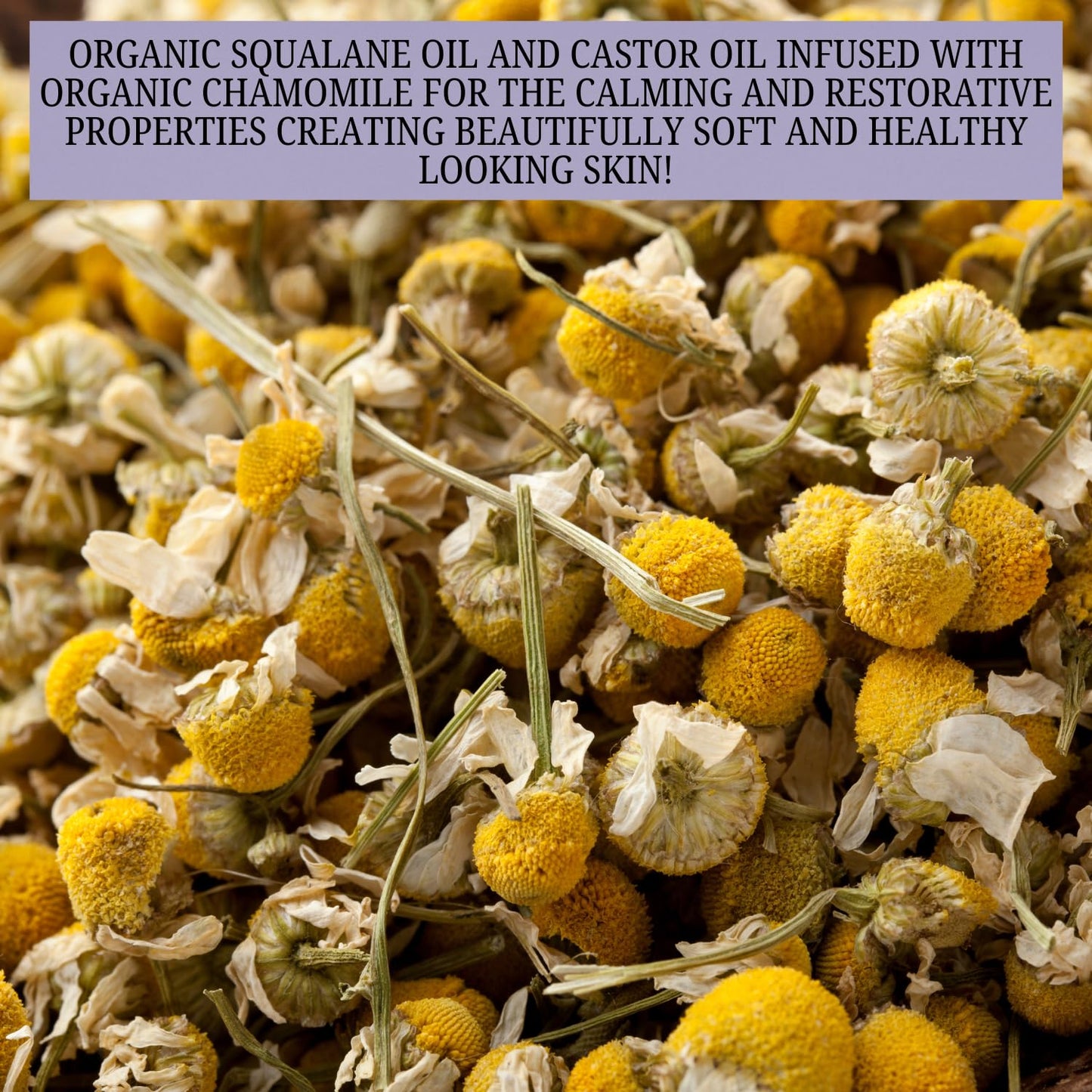 Emulsified Face Sugar Scrub, Organic squalane oil/Castor oil: infused Chamomile, Kokum Butter, Purple Clay, Colloidal Oatmeal, Manuka Honey-Gentle exfoliant: Dry/Sensitive/Acne-Prone (NURTURE)