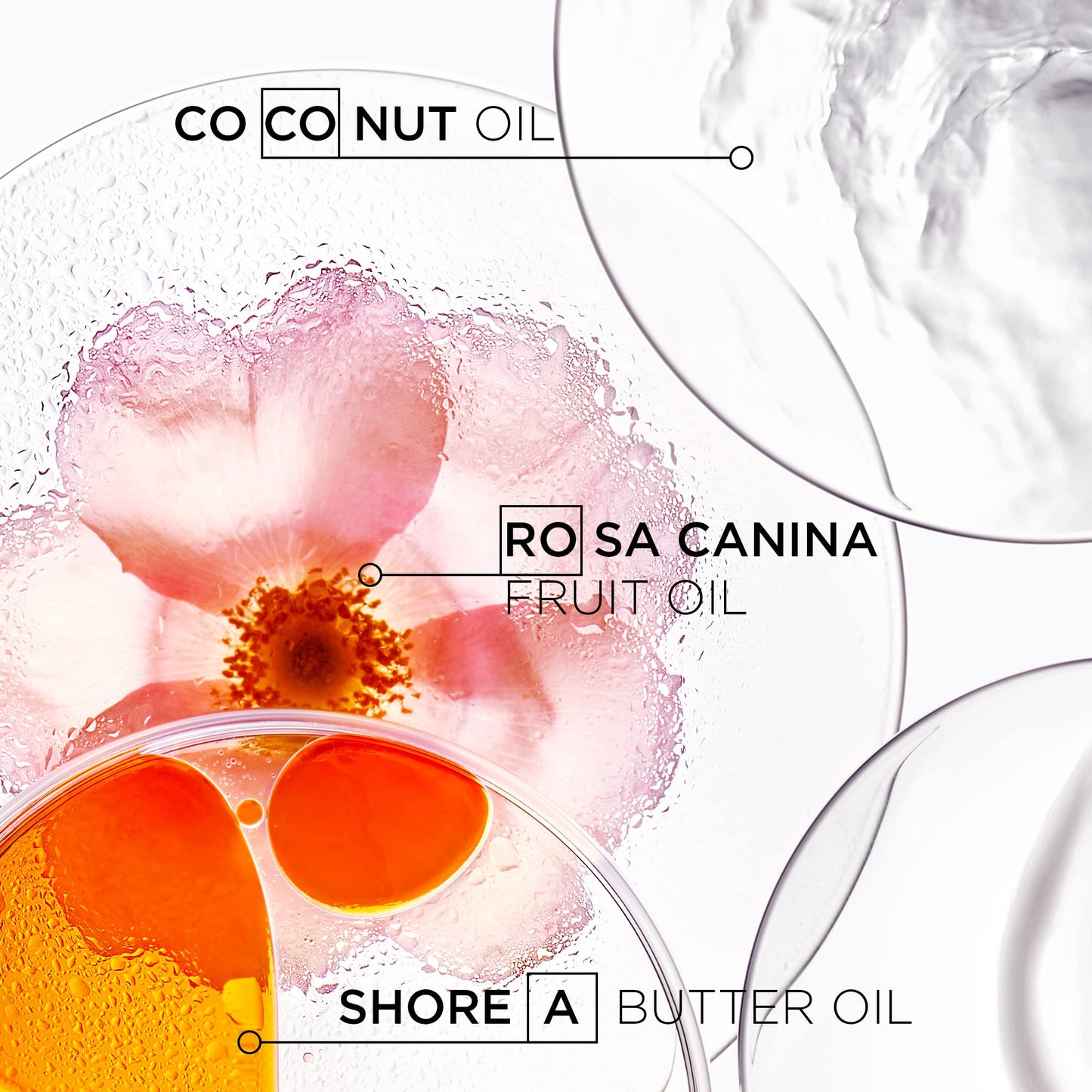 Kerastase Discipline Oleo-Relax Shampoo - Oil-infused Anti-Frizz Shampoo, Moisturizes and Protects Hair, 8.5 Fl Oz