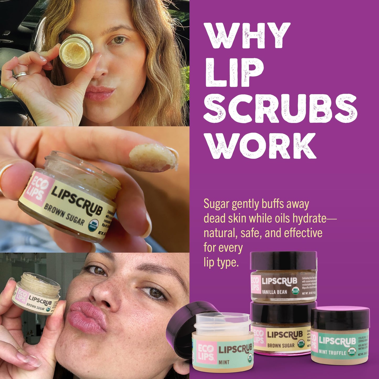 Eco Lips LIP SUGAR SCRUB 4 Pack (4-0.25oz jars) 100% Organic Lip Care Treatment with Organic Sugar & Coconut Oil - Gently Exfoliate & Polish Dry, Flaky Lips (Variety 4-Pack)