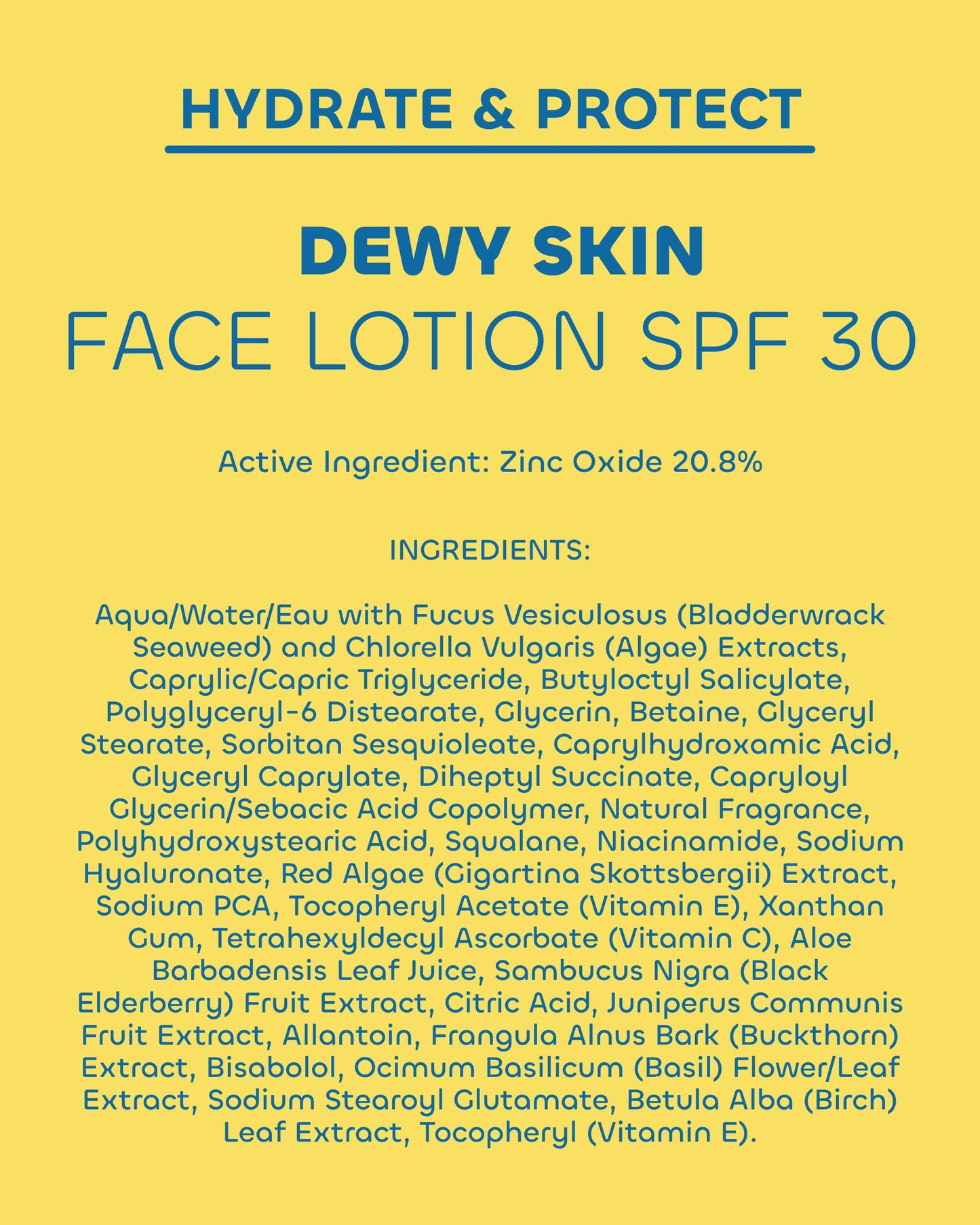 Seaweed Bath Co. Hydrate & Protect Dewy Skin Face Lotion SPF 30 - Broad Spectrum Zinc Oxide Lightweight Facial Sunscreen - Daily Moisturizer with Seaweed, Hyaluronic Acid & Squalane, 2 oz
