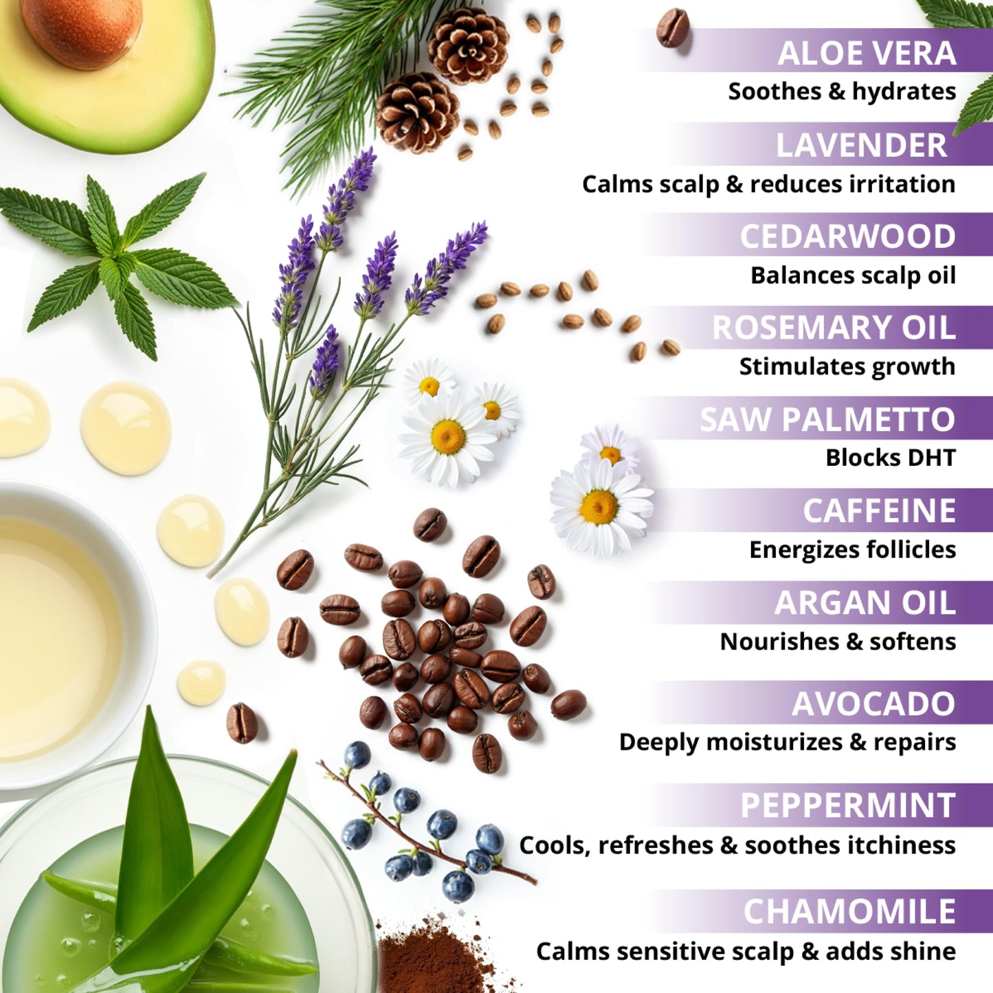 Botanical Green Care 'Lavender & Cedarwood' CONDITIONER - Thickening, Hair Growth, Strengthening Conditioner for Thinning Hair. Color Safe