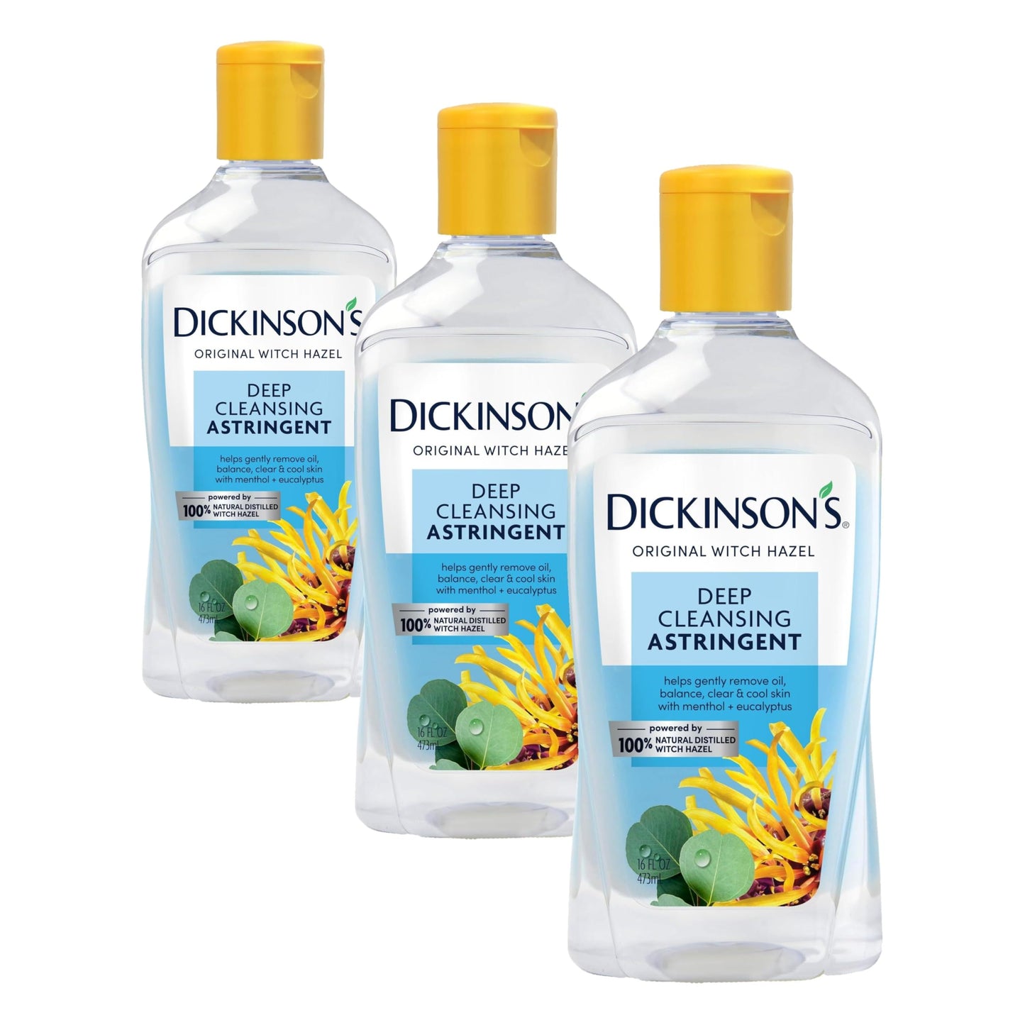 Dickinson's Enhanced Witch Hazel Deep Cleansing Astringent, Menthol and Eucalyptus, 92% Natural Formula, 16 Fl. Oz. (Pack of 3)