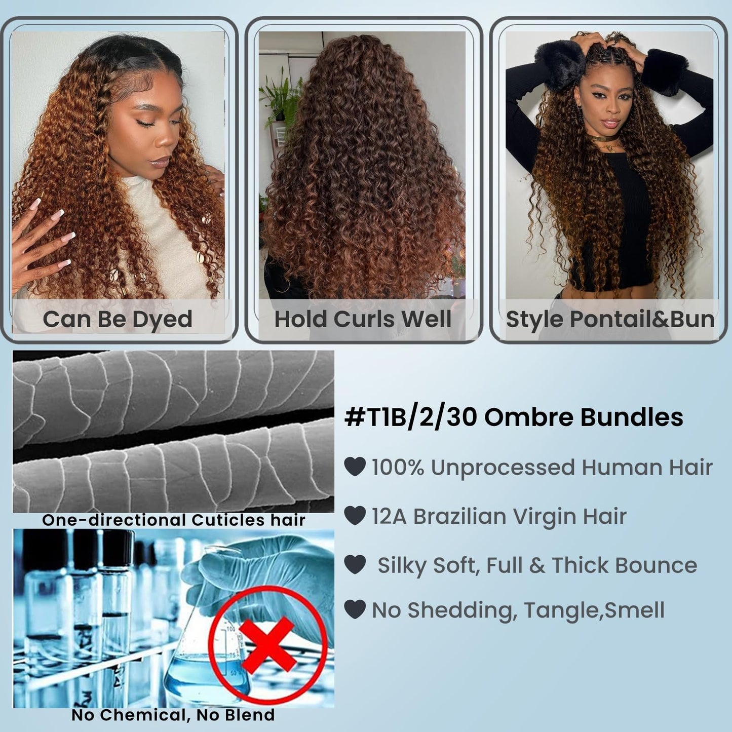 ALHER 12A Ombre Human Hair Bundles Water Wave, Soft Thick Chestnut Brown Ombre Single Curly Bundle Wet and Wavy 100% Virgin Remy Human Hair for Black Women #T1B/2/30 Dark Roots Auburn Sew In 12 Inch