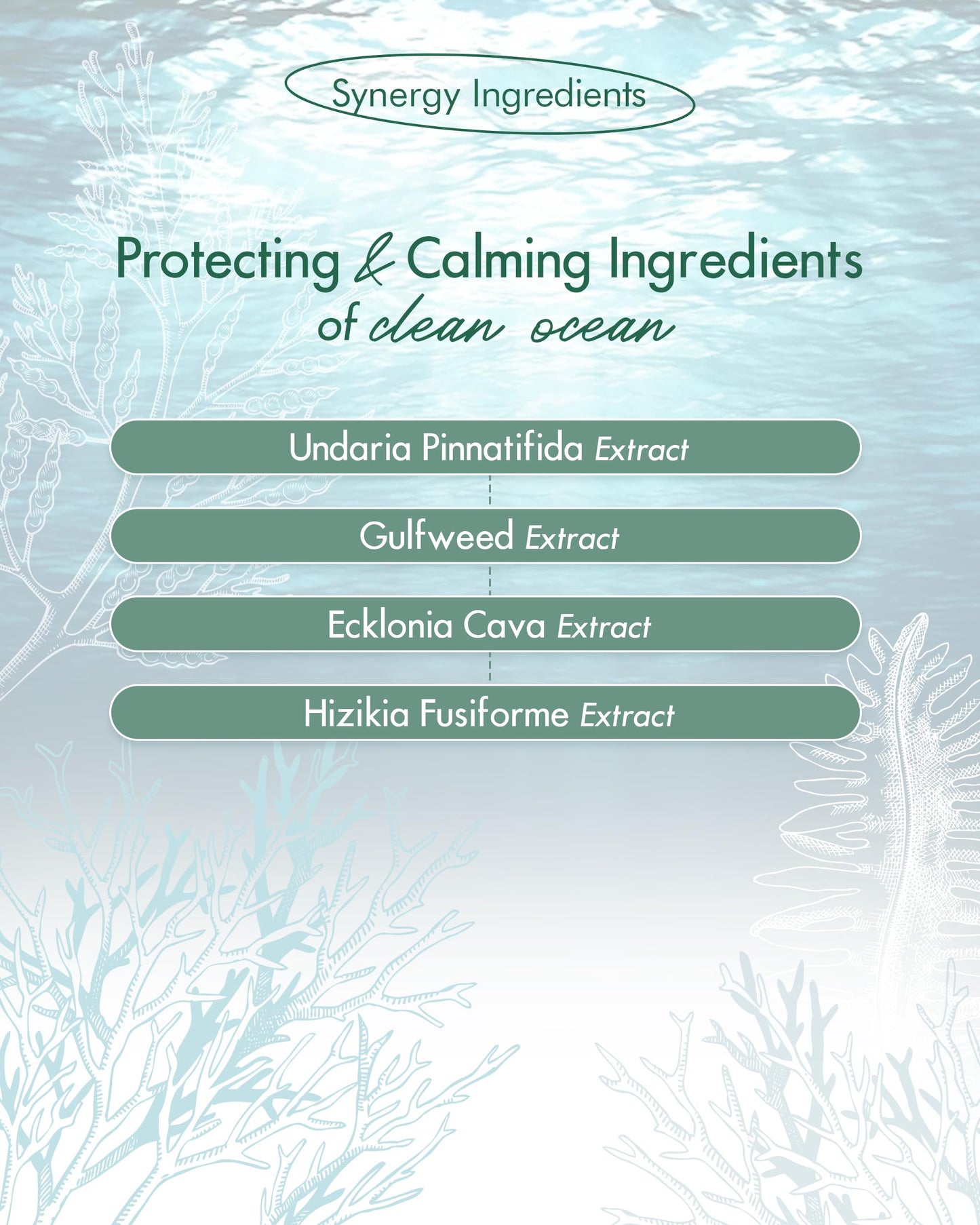 SanDaWha SKINCURE Vegan Seaweed Mud Mask, Korean skincare Blackhead Remover Clay Mask for Pore Cleansing with Kaolin & Bentonite, Oil Control & Gentle Exfoliation, 3.5oz