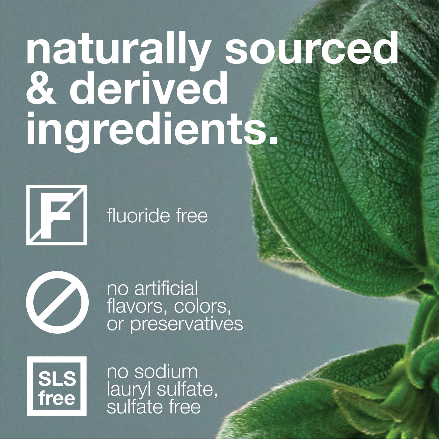 Davids Fluoride Free Toothpaste, Teeth Whitening, Antiplaque, SLS (Sulfate) Free, Promotes Enamel Health, Mouth & Gum Detox, EWG Verified, Peppermint, 5.25oz