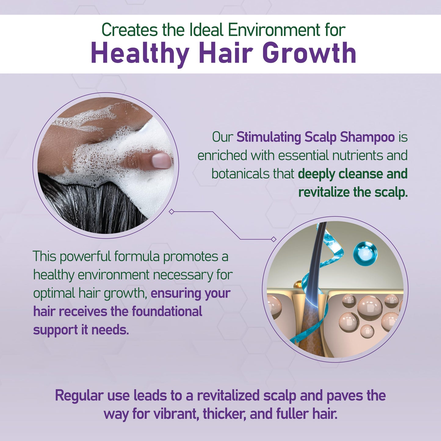 NouriTress Stimulating Scalp Shampoo - Itchy, Dry Scalp Shampoo, Promotes Hair Growth with Camphor, Peppermint & Tea Tree Oil - Deeply Cleanses, Reduces Build-up, Nourishes & Strengthens Hair - 8 oz