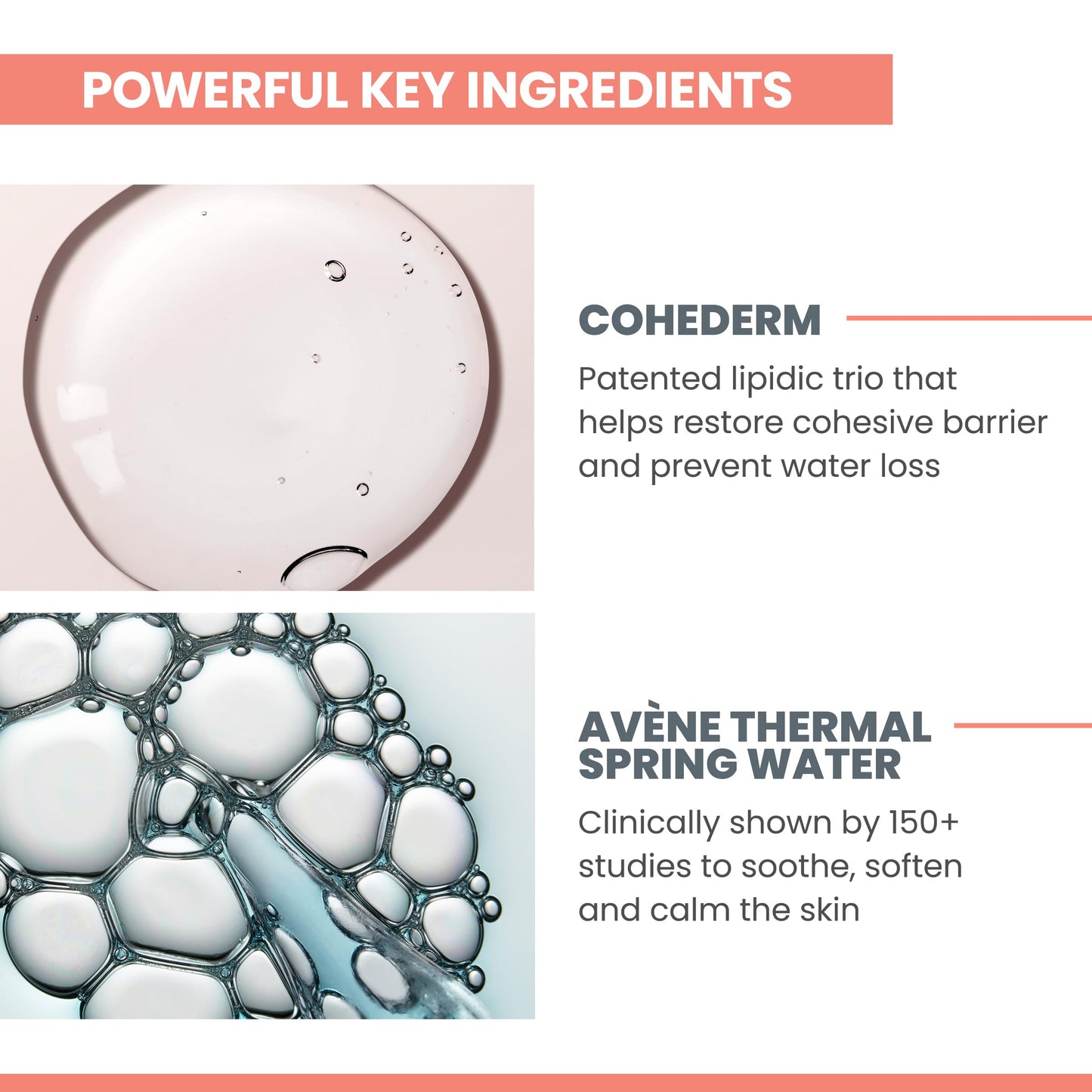 Avène Hydrance RICH Hydrating Cream, Daily Face Moisturizer, Soothes Feelings of Skin Tightness Associated with Dryness, Dry Skin Moisturizer, Non-Comedogenic Skin Care for Dehydrated Skin Barrier