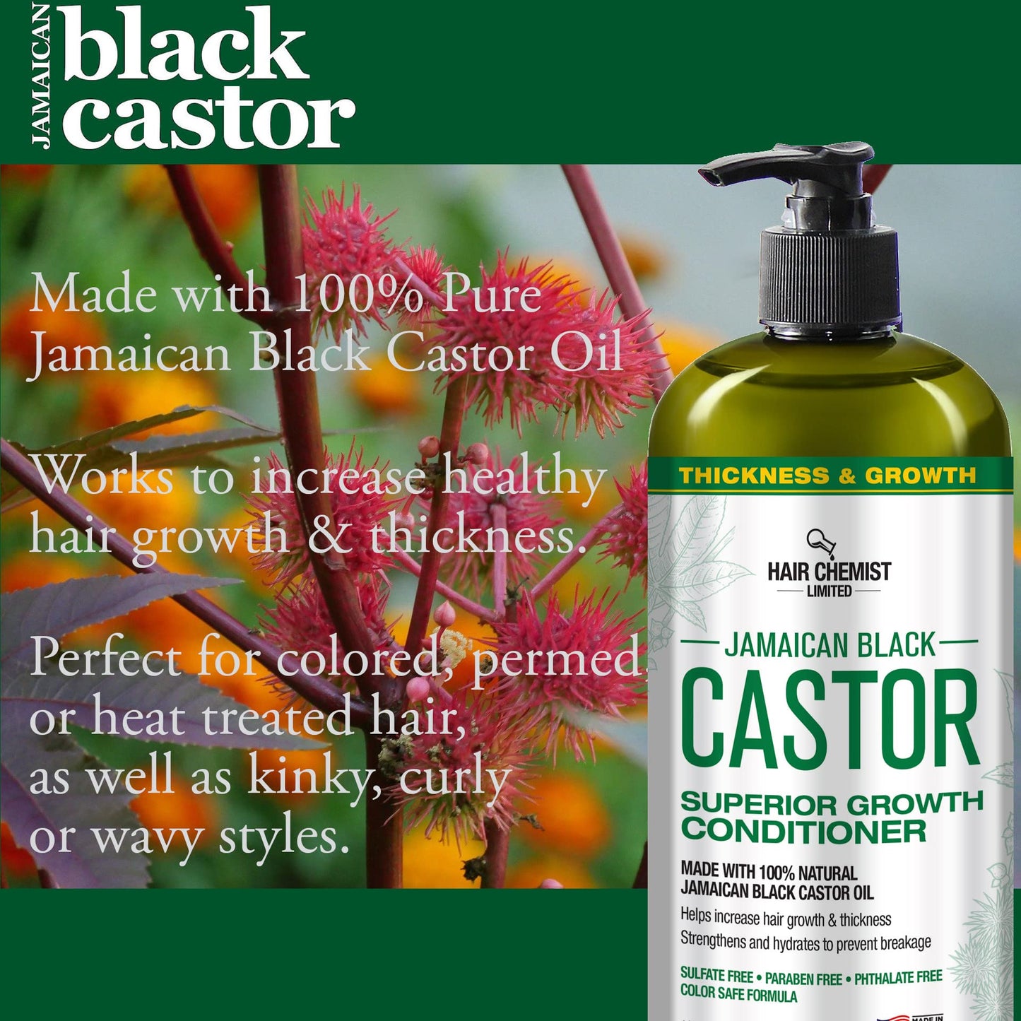 Hair Chemist 2-PC Shampoo & Conditioner Gift Box - Jamaican Black Castor Oil for Hair Growth & Thickness - Sulfate Free, Paraben Free & Phthalate Free - 33.8 oz Each - Made in USA
