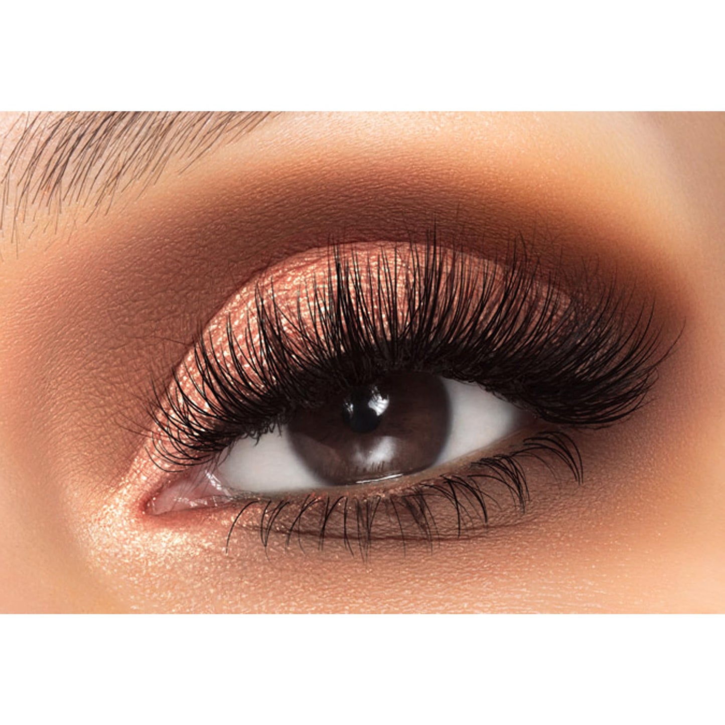Melt Neutral Browns Petite Stack
