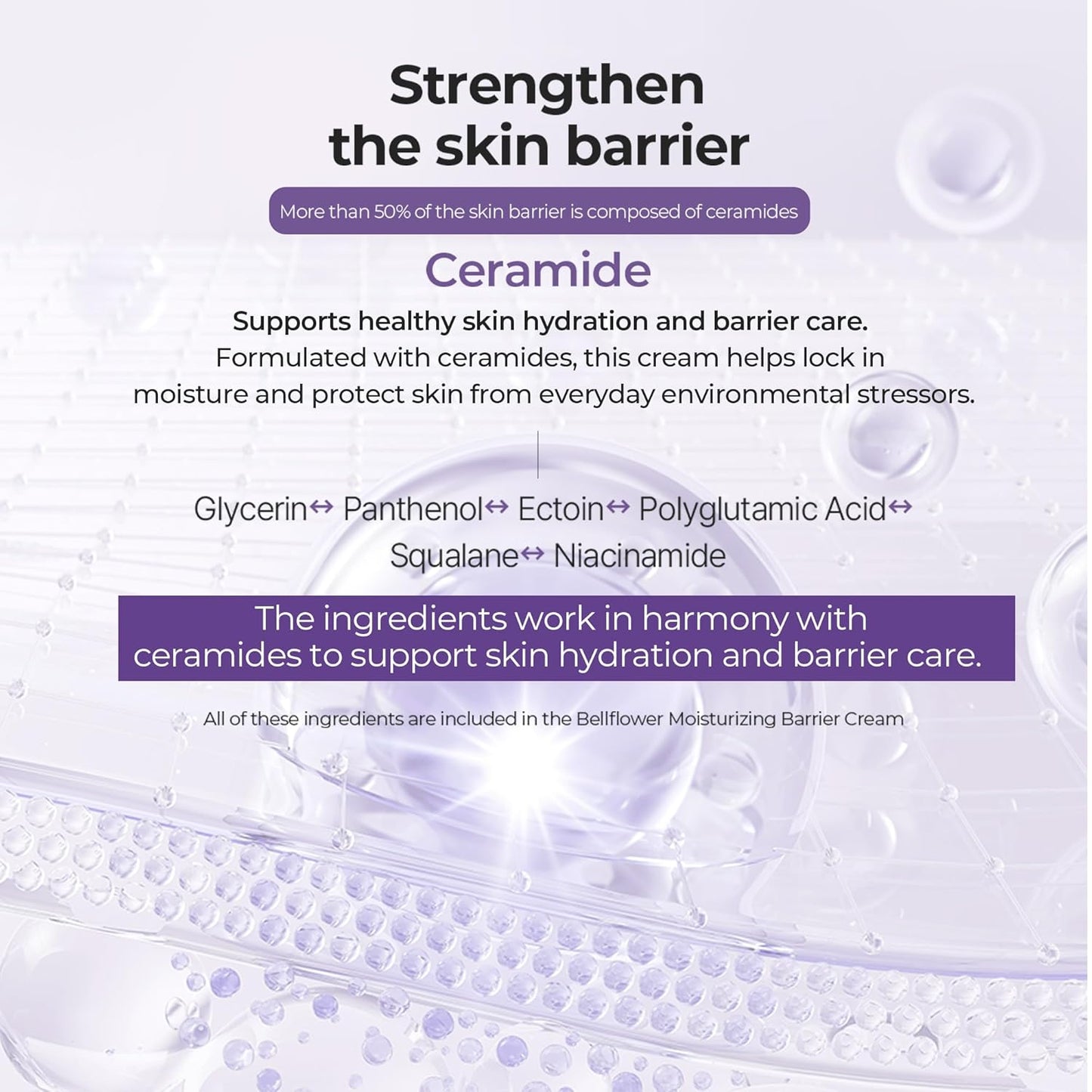 Bellflower Moisturizing Barrier Cream - Daily Face Moisturizer for Dry to Combo Skin | Hydrating Korean Skincare with Ceramides & Panthenol | 2.7 Fl Oz
