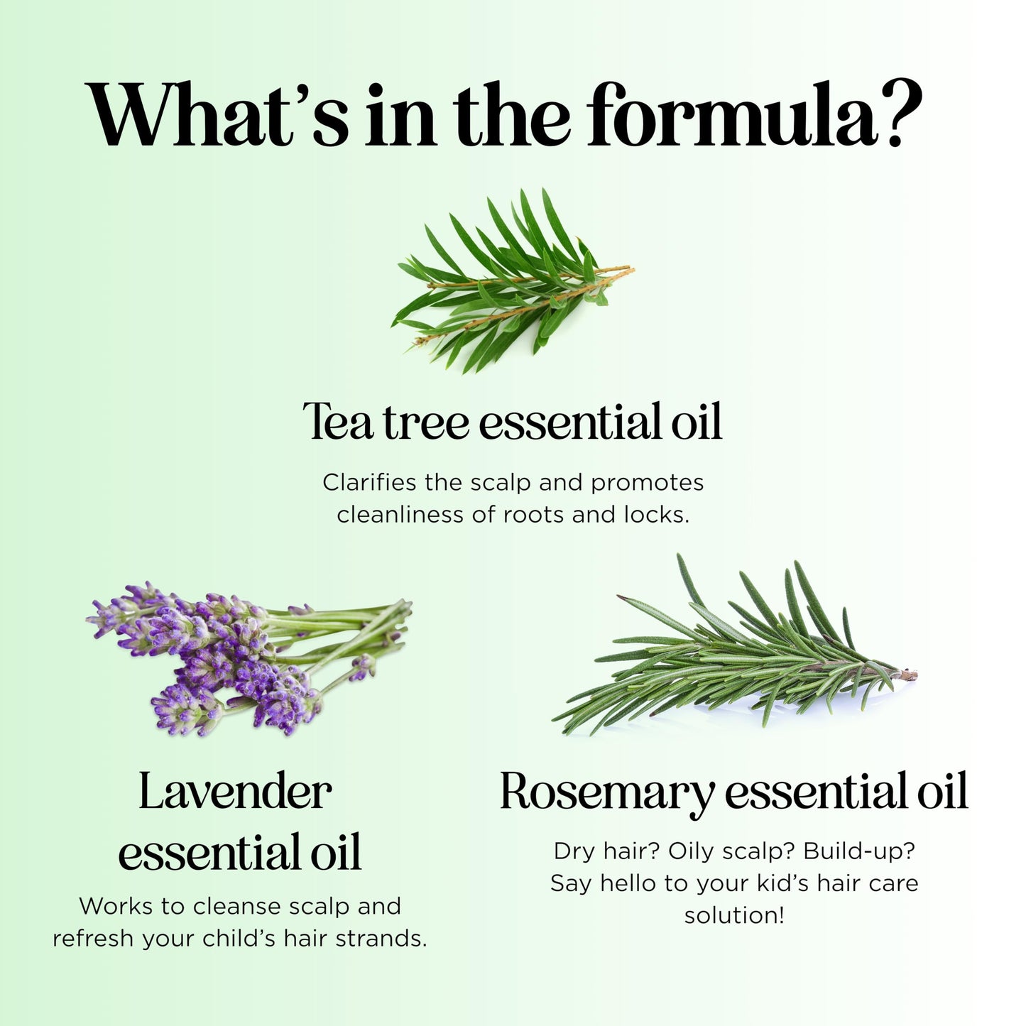 Cleansing Kids Shampoo for Dry Scalp - Dry Flaky Scalp Care Shampoo for Kids and Hair Build Up Remover with Tea Tree Oil and Rosemary Essential Oils for Hair Care - Kids Scalp Cleanser for Build Up