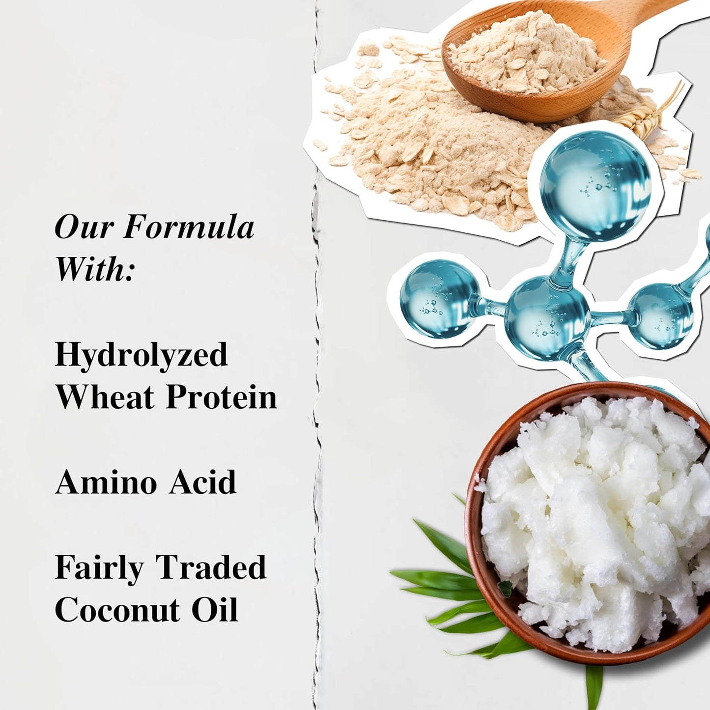 Kiehl's Amino Acid Shampoo - Strengthening Cleanser with Coconut Oil | Paraben-Free, All Hair Types
