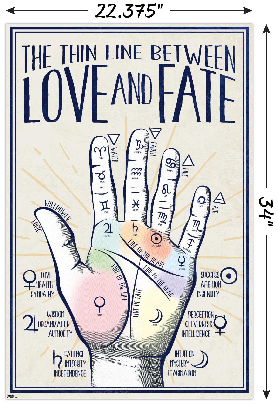Trends International Palmistry Wall Poster, 22.375" x 34", Unframed Version
