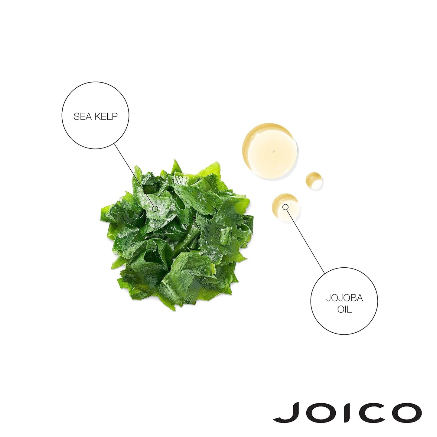 Joico Moisture Recovery Shampoo & Conditioner Set - Hydrating Formula for Thick, Coarse, Dry Hair | 33.8 Fl Oz