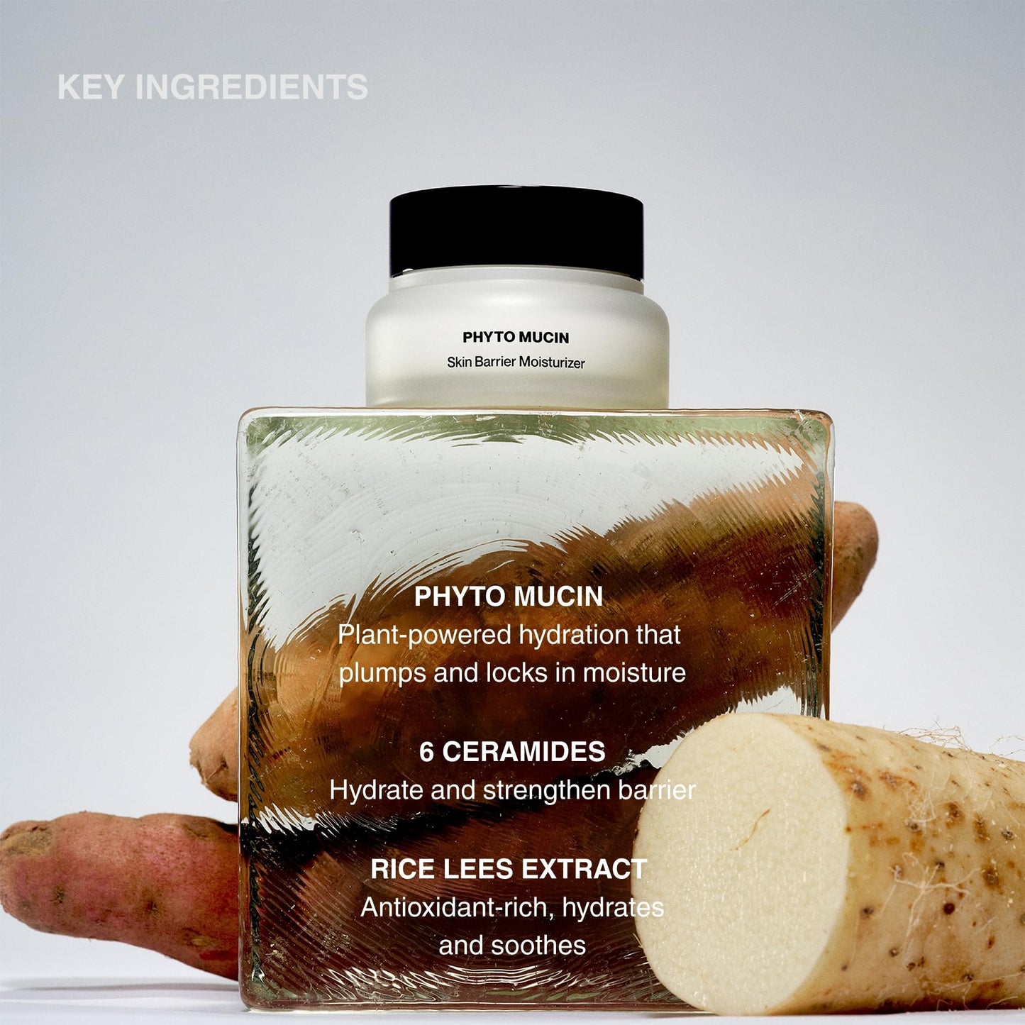 Knours. Korean Phyto Mucin Skin Barrier Repair Cream – Lightweight 6 Ceramide Gel Moisturizer for Oily, Sensitive & Acne Prone Skin, Certified Vegan & Natural, Fragrance Free, 50ml / 1.69 fl oz