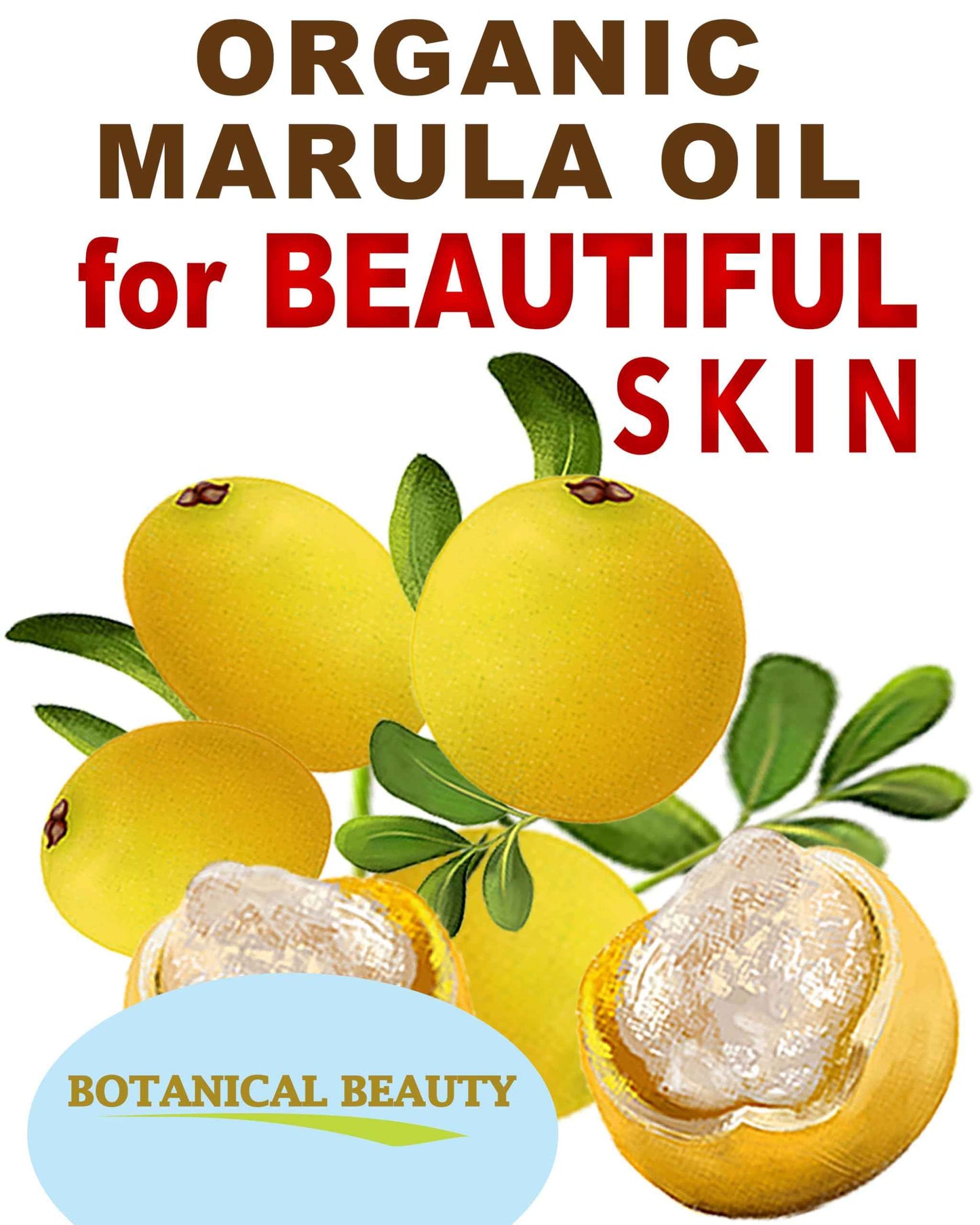 Botanical Beauty Organic MARULA OIL WILD GROWTH 100% Pure Natural Virgin, Unrefined Cold-Pressed Moisturizer for FACE, DRY SKIN, BODY, DAMAGED HAIR, NAILS, Anti-Aging (1 Fl Oz)