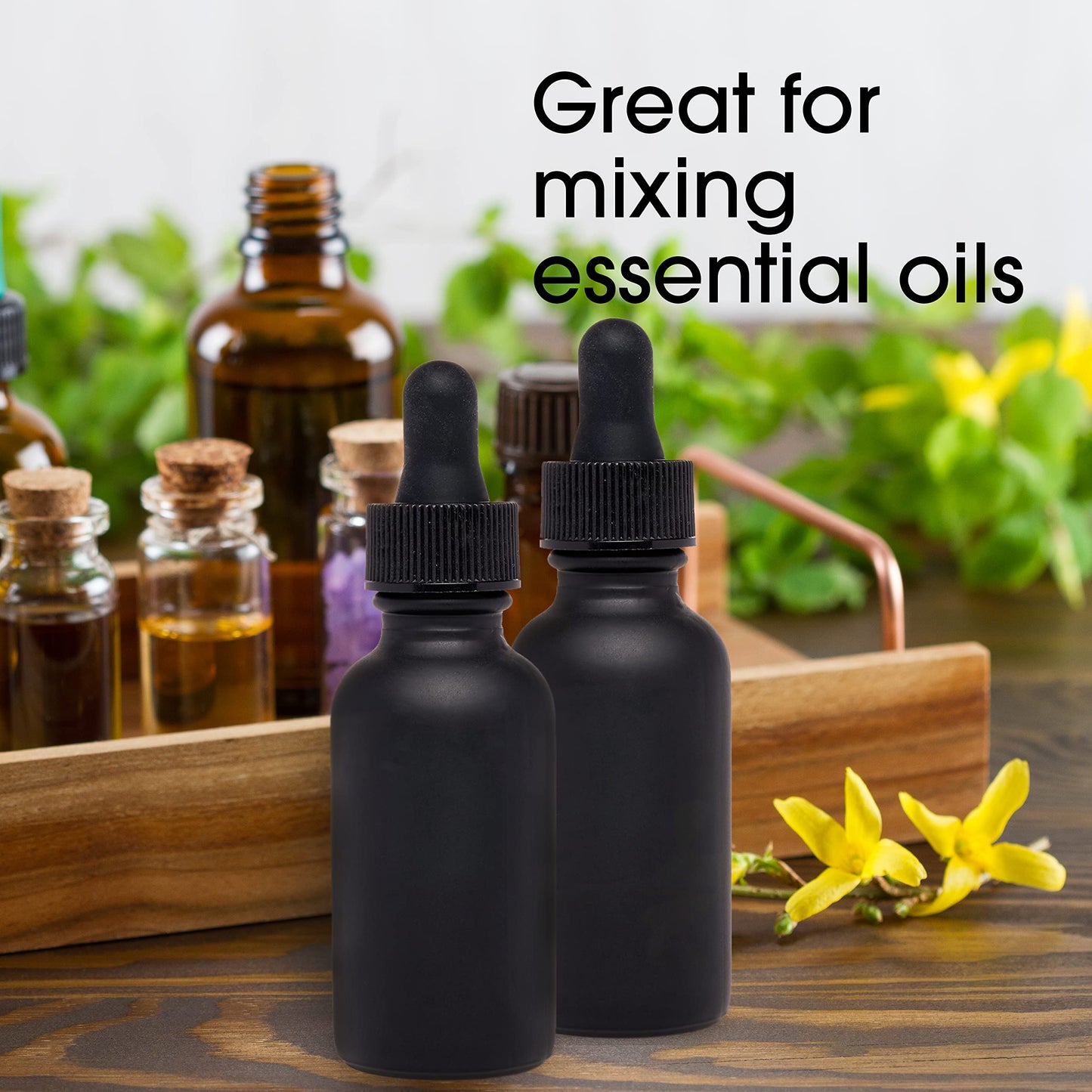 Focus Nutrition Black Boston Round 1 oz Dropper Bottles | Glass Dropper Bottles for Essential Oils & Aromatherapy | Travel Size 1 oz | 24 Pack