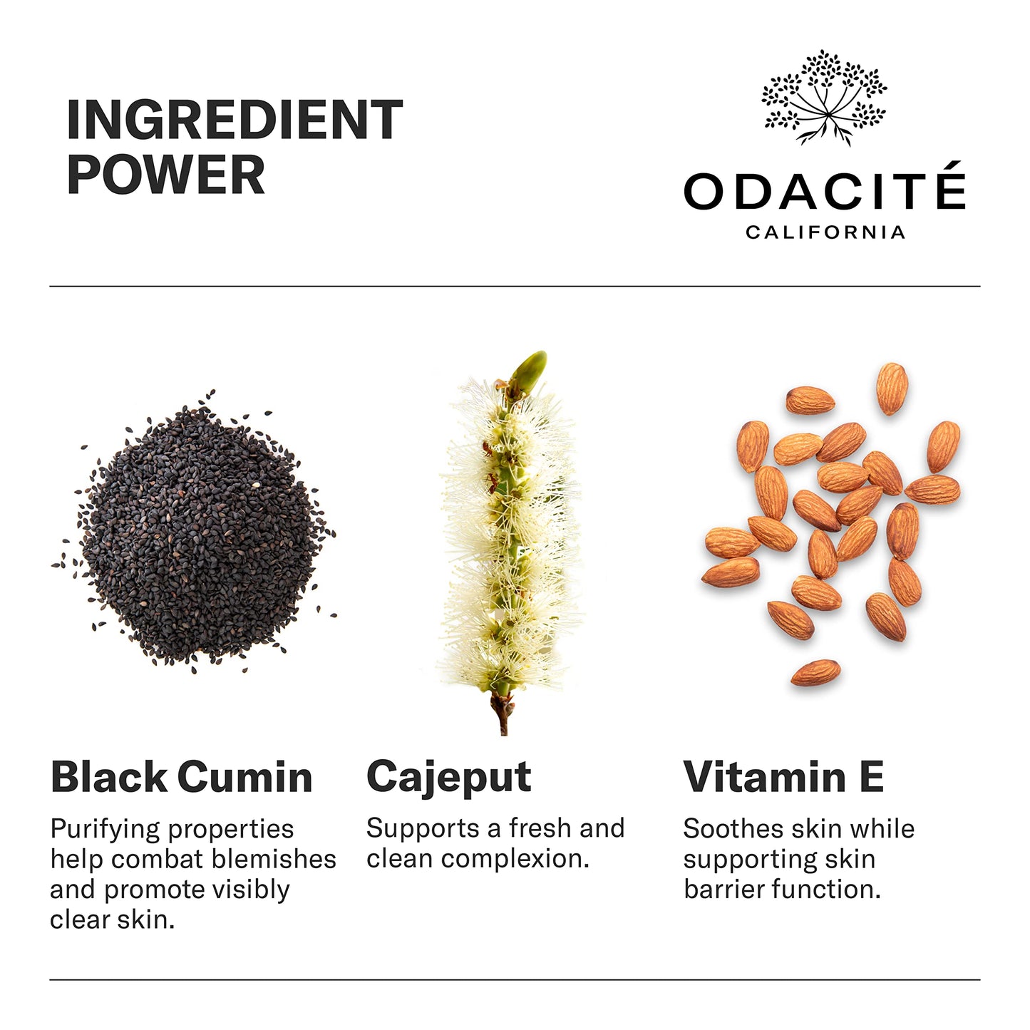 Odacité Bl+C Serum Concentrate for Face, Luxury Black Cumin + Cajeput Pore-Clearing Facial Oil for Pimples & Blemishes, Vegan Vitamin E Spot Treatment for Oily, Acne-Prone Skin, 0.17 fl oz