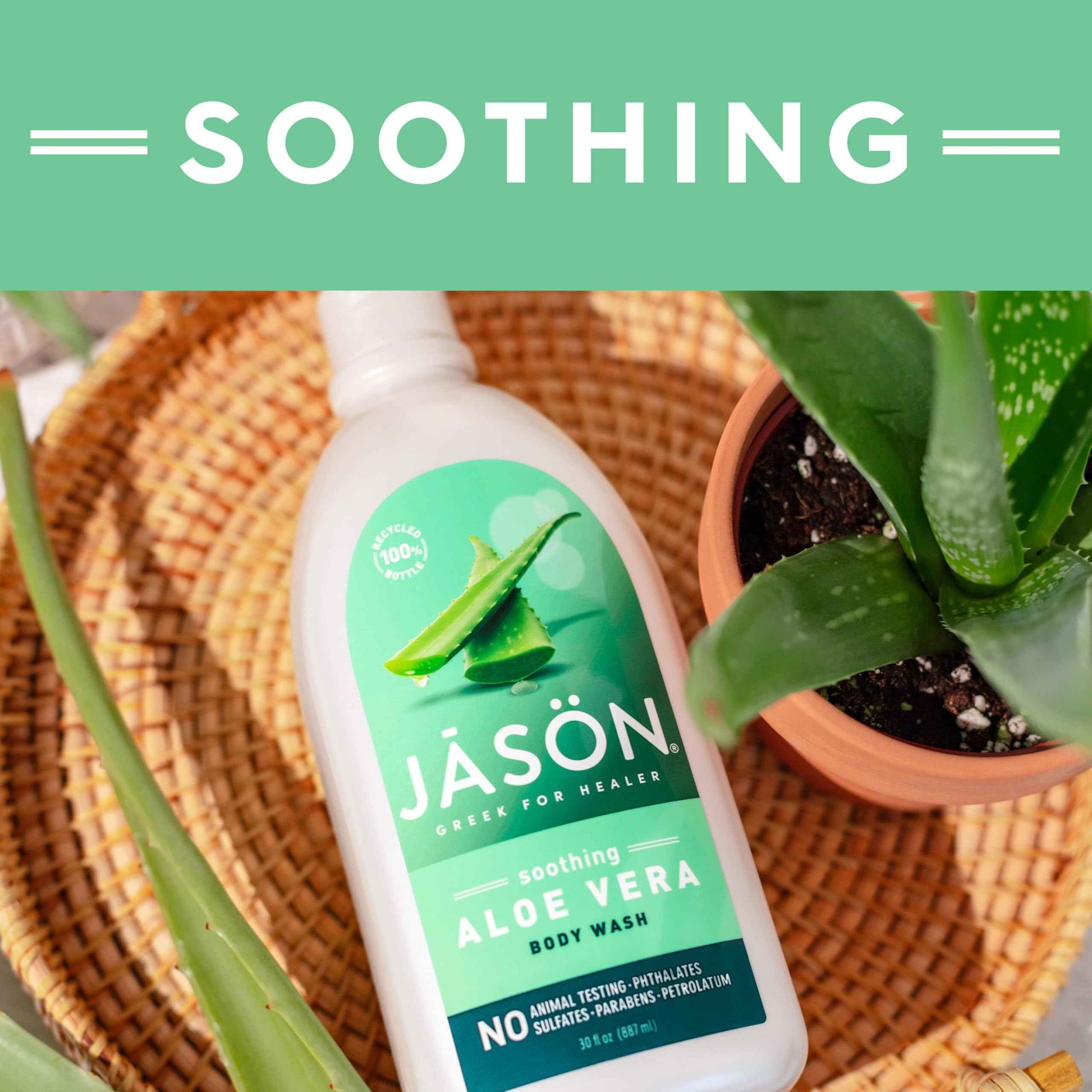 JASON Aloe Vera Shower Gel Body Wash - Soothing, Gentle Clean Feeling, 30 Fluid Ounces