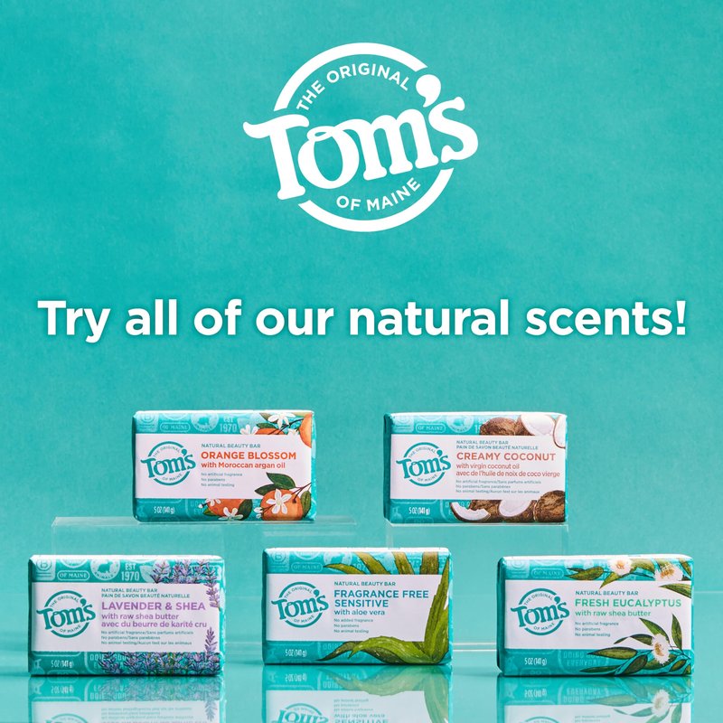 Tom's of Maine Natural Beauty Bar Soap, Lavender & Shea With Raw Shea Butter, 5 oz. 6-Pack (Packaging May Vary)