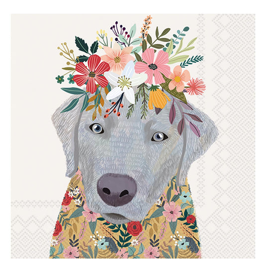 Boston International IHR Cocktail Beverage Paper Napkins, 5 x 5-Inches, Floral Dog,C833100