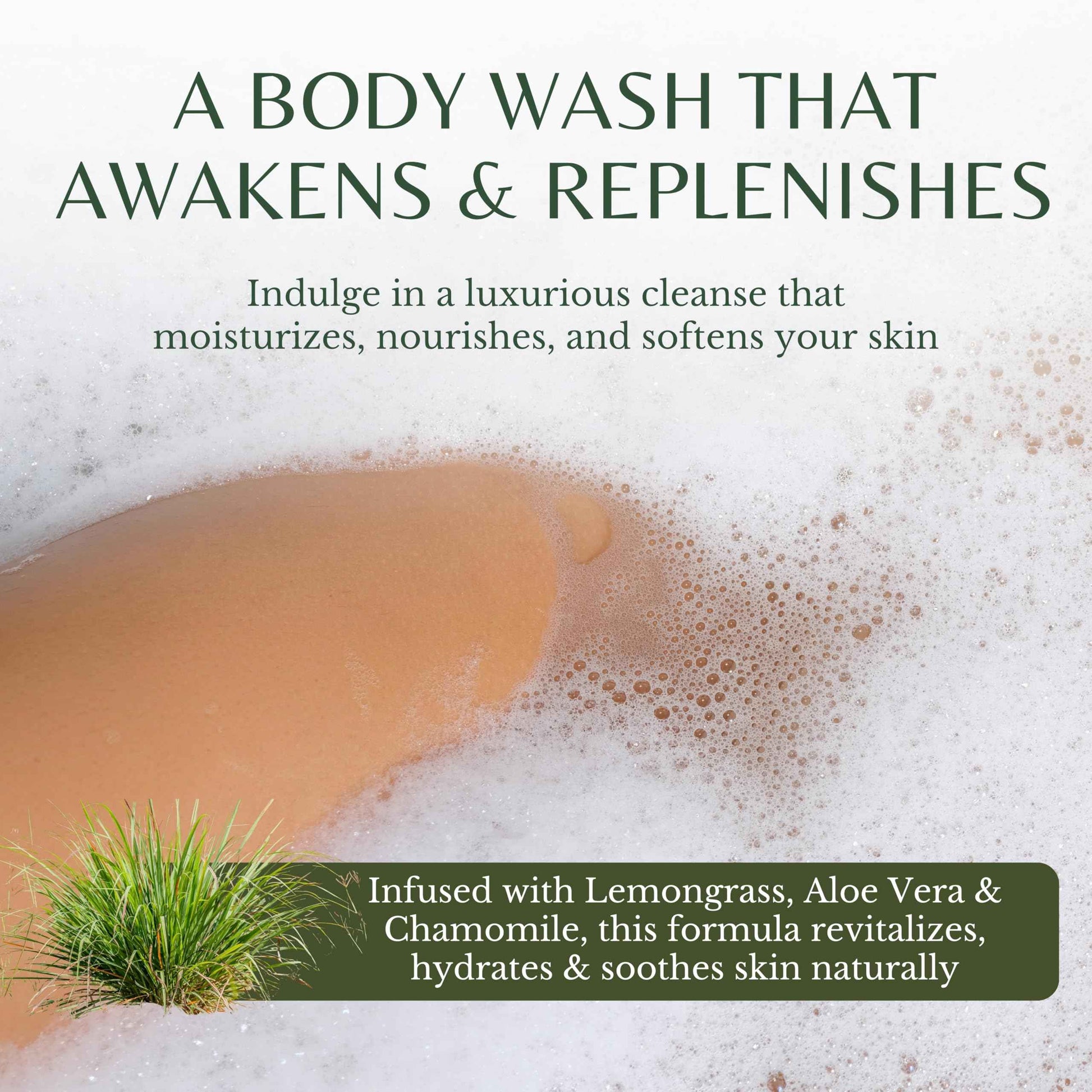 EDENIKA BOTANICALS Lemongrass Body Wash with Vitamin E, Cleanses, Refreshes & Invigorates, Shower Gel for Dry and Sensitive Skin, Women & Men, Organic & Natural, 16 fl oz, 2-Pack