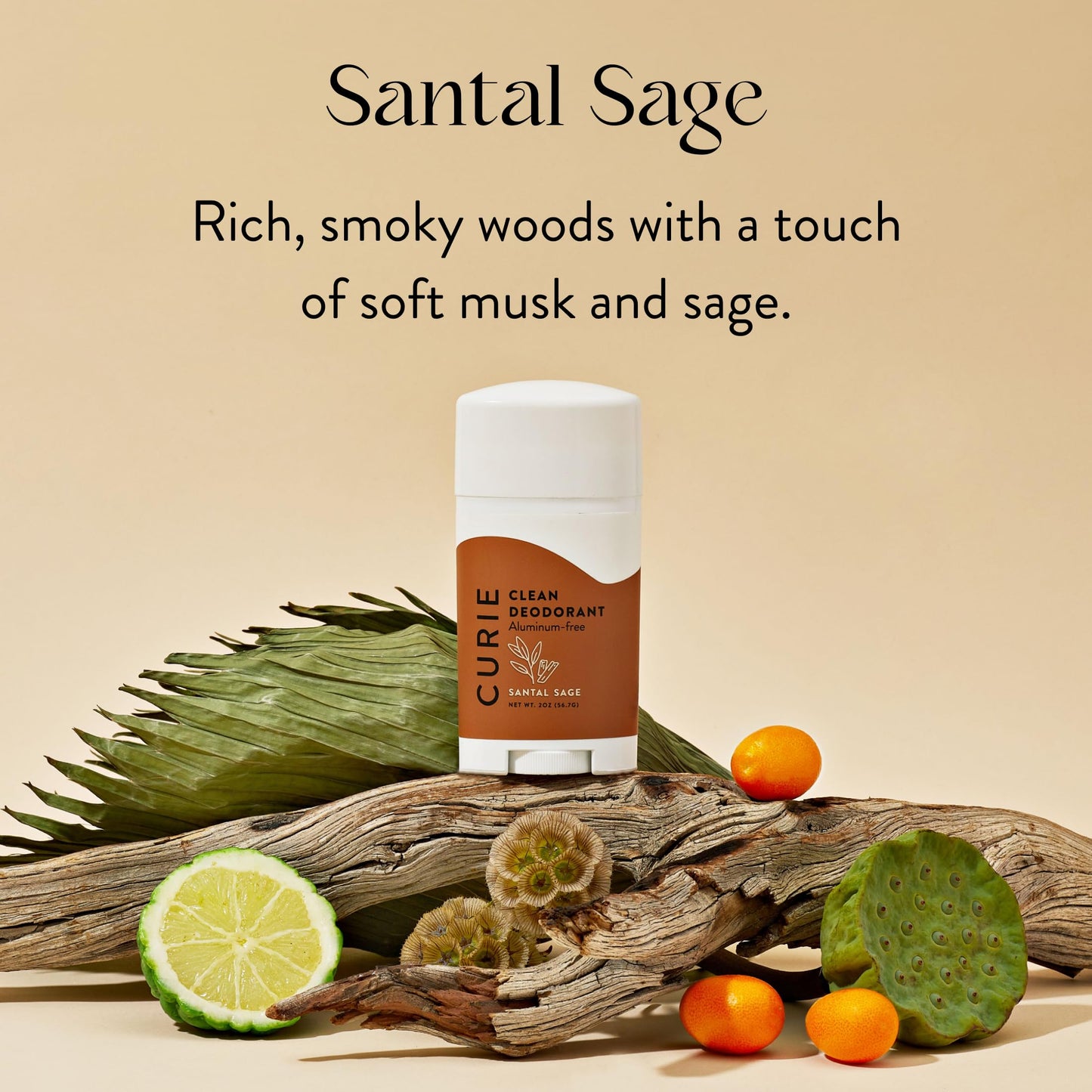Curie Natural Deodorant for Women - Coconut Nectar + Santal Sage - Aluminum Free, Clean, Sustainable, Vegan Paraben Free (2pk)