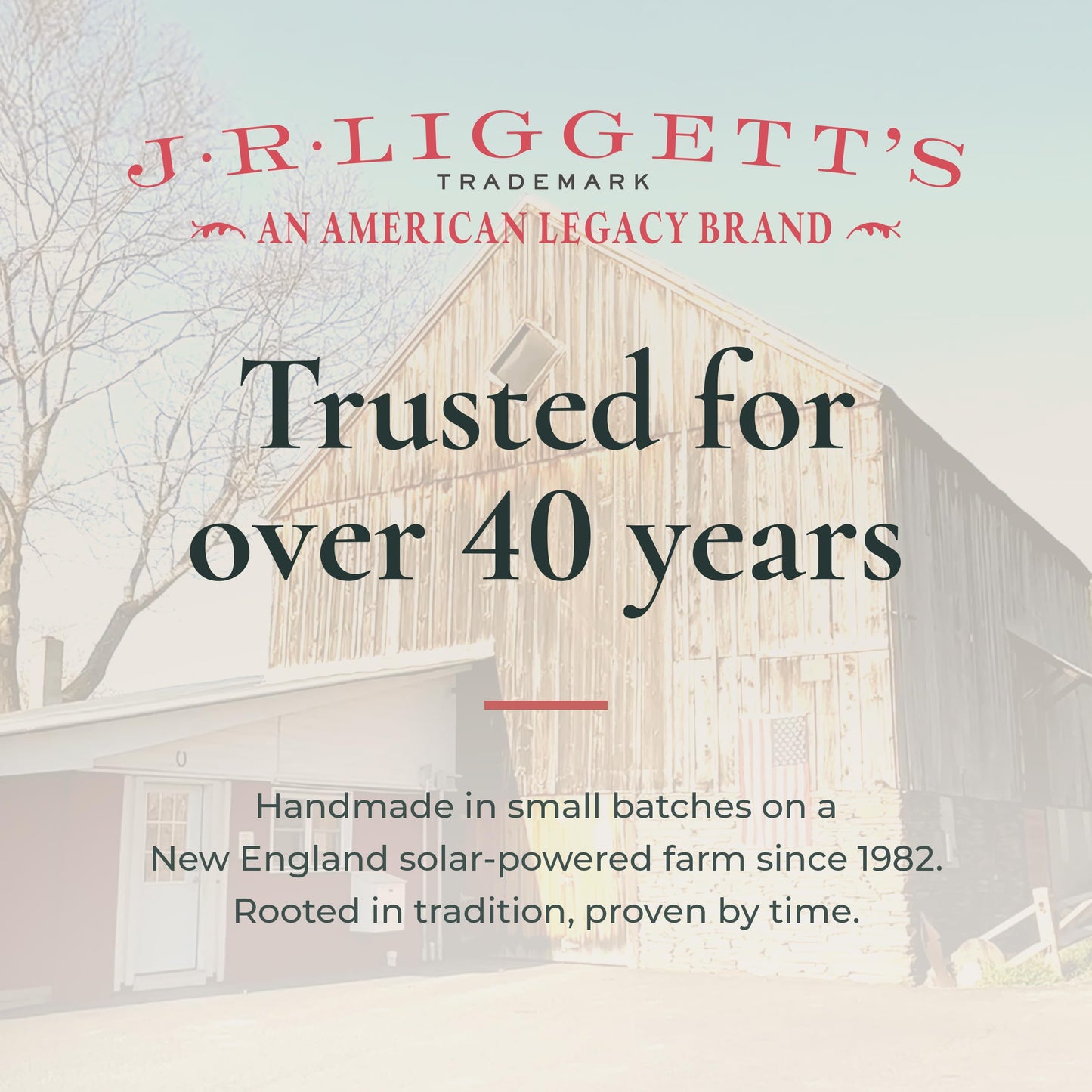 J.R.LIGGETT'S Moisturizing Formula Shampoo Bar and Conditioner Bar 3-Pack, All-Natural, Plant-Based Solid Hair Care Set, Sulfate-Free, 2 x 3.5 oz Shampoo / 1.75 oz Conditioner
