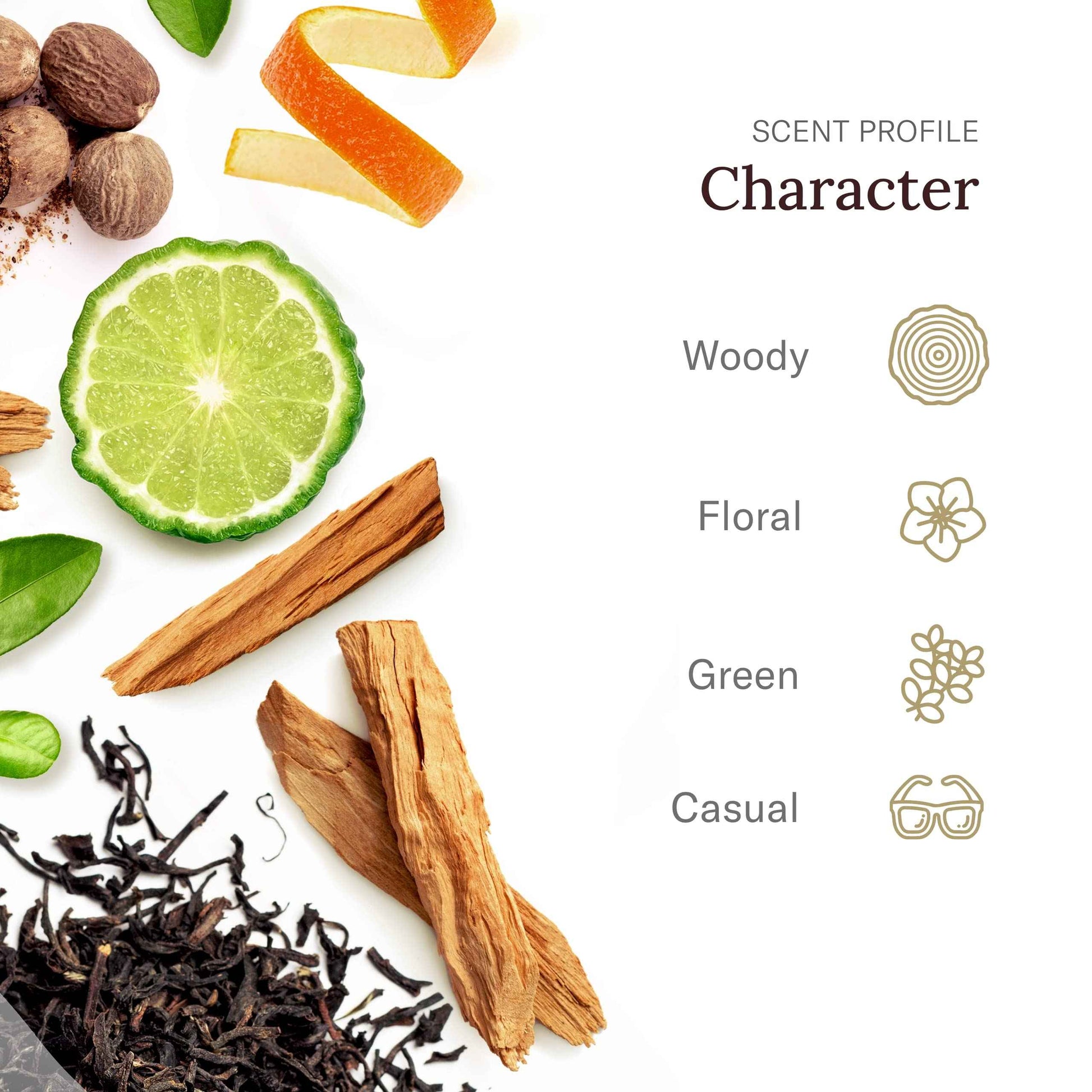 STETSON Personal Care Extra Strength Deodorant by Scent Beauty - Gel Men's Deodorant Stick for Grooming Kit - 3 oz - 3 Pack - Oasis