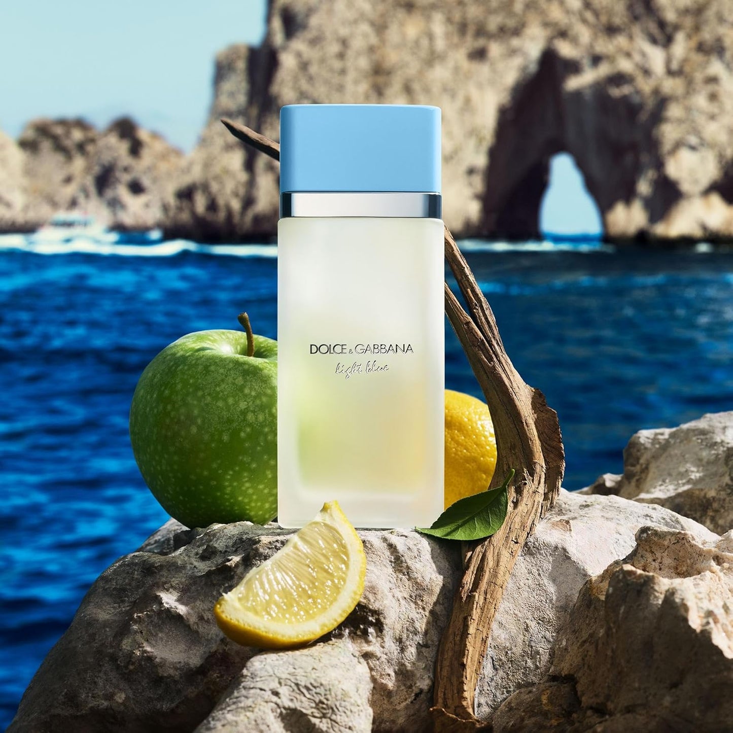 Dolce&Gabbana Light Blue Eau De Toilette Spray for Women - Fresh Citrus Fragrance | 3.3 oz