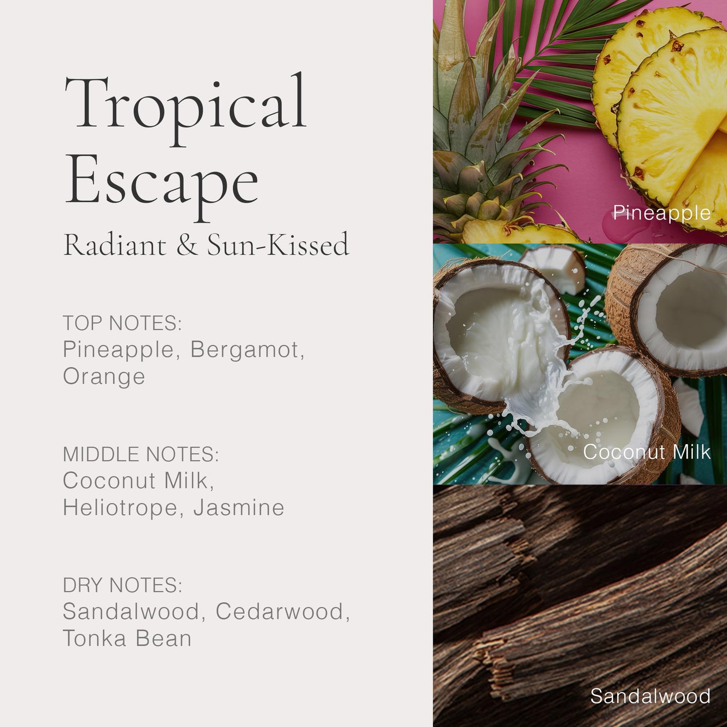 CLEAN CLASSIC EDT Tropical Escape 60mL