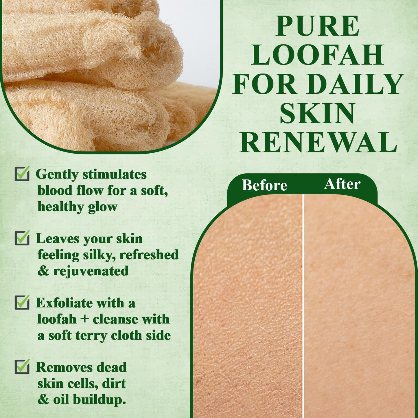 Vera Essence Natural Egyptian Loofah Sponge (Pack of 4) – Organic Bath Luffa for Gentle Exfoliating, Deep Cleansing & Smooth Skin, Natural Shower Sponge for Women & Men