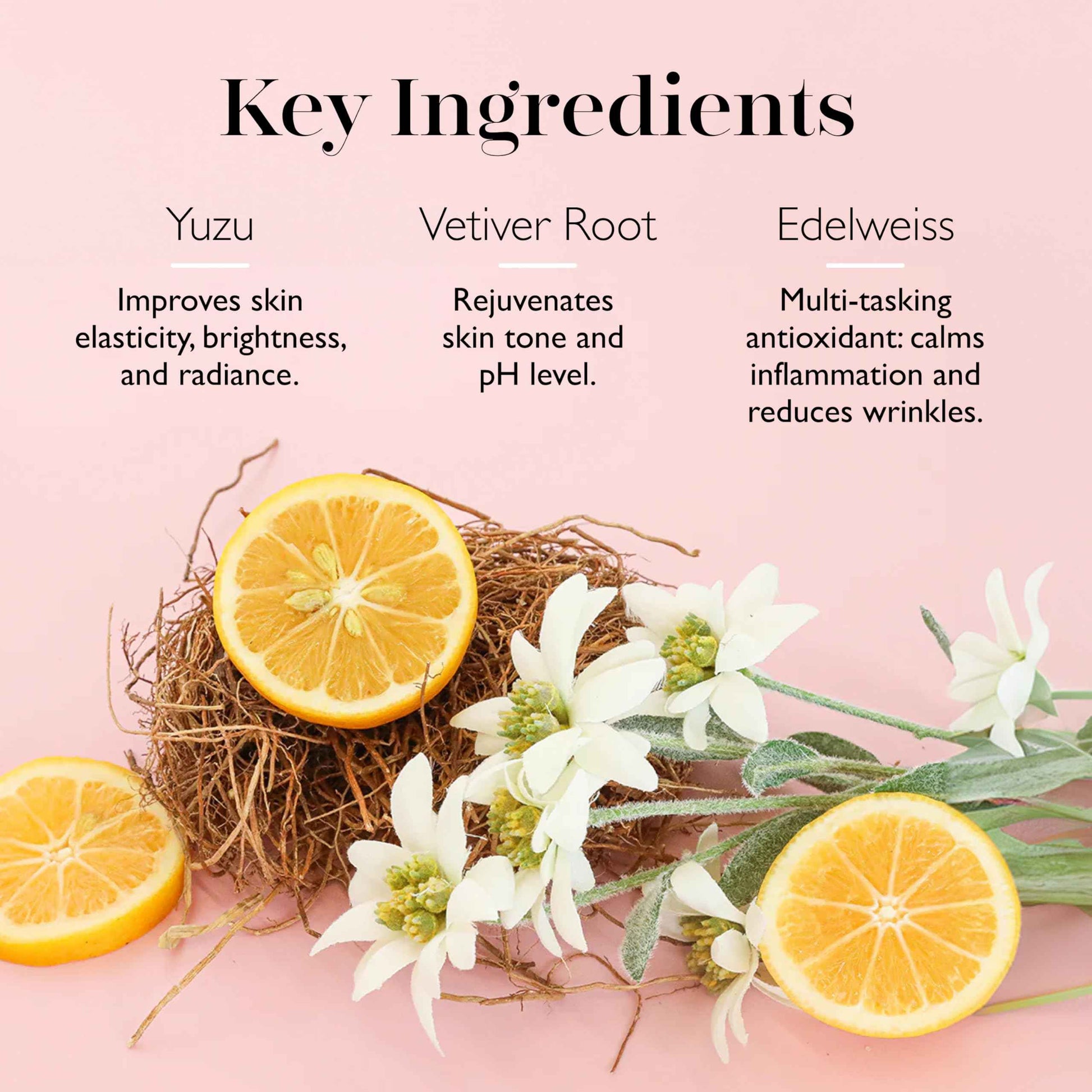 Spongelato Loofah Exfoliating Body Scrubber by Spongelle | Infused with Body Wash | Bath & Shower Loofah for Women | 14+ uses | Frutti di Bosco (Mixed Berries) Gelato Inspired