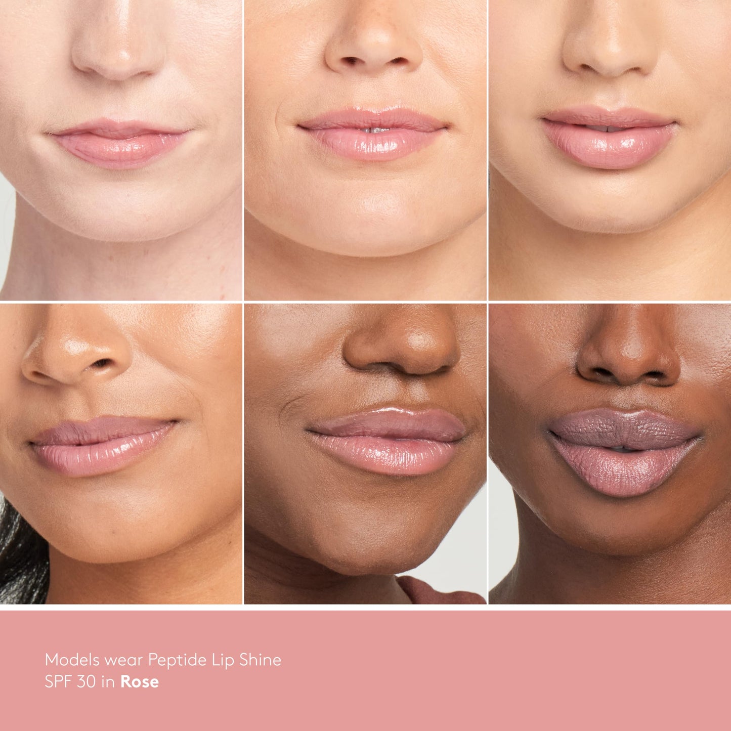Colorescience Peptide Lip Shine SPF 30 - Rose