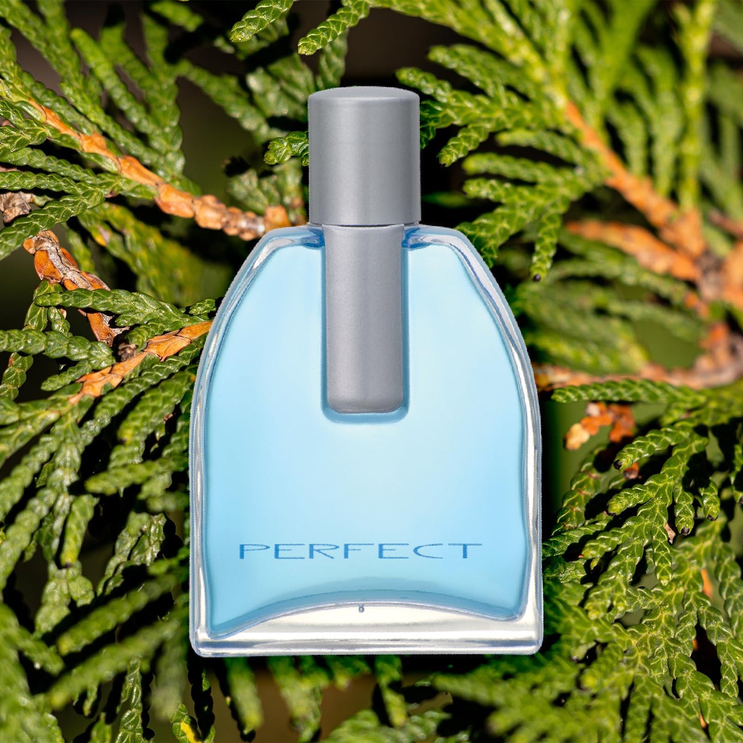 Zermat Perfect, Fragrance for Men, Fresh - Herbal Scent 3.4 Fl. Oz